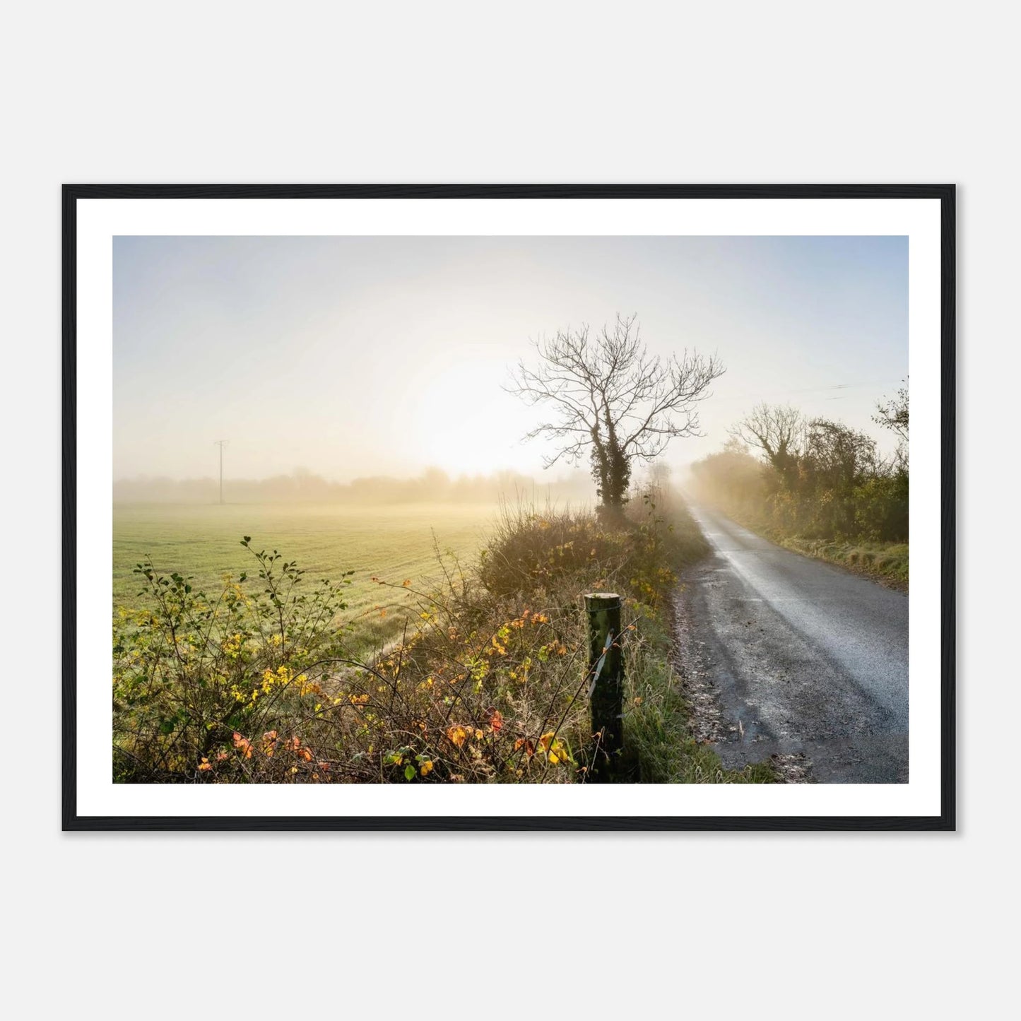 38288a09-5c45-4ff0-8970-c0e83005080b