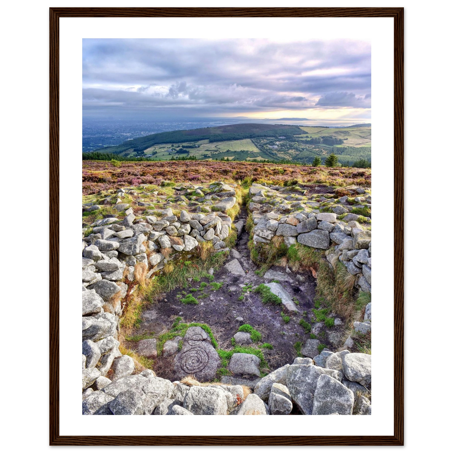 38699c11-2d6b-44fb-9fae-3011df3a95f4