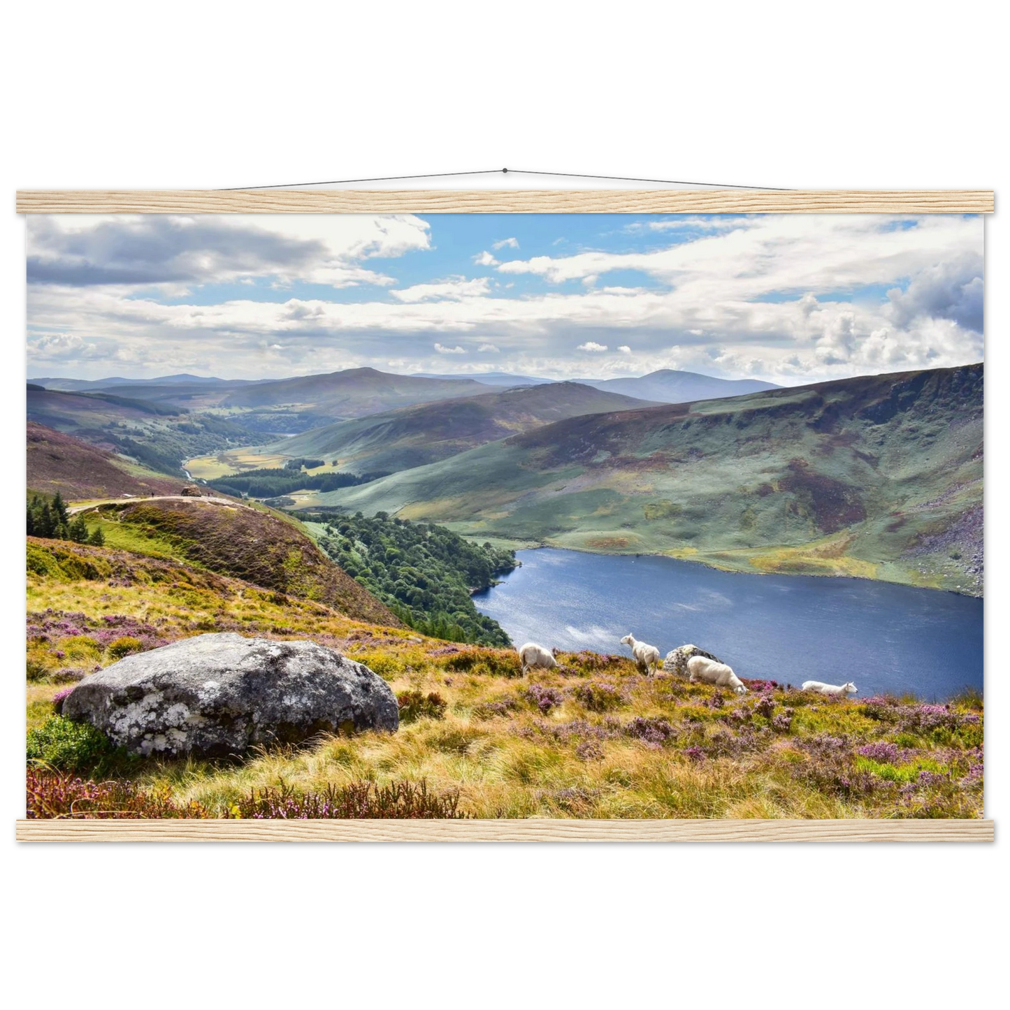 389e606c-b728-4737-b619-10ec027c0fb6