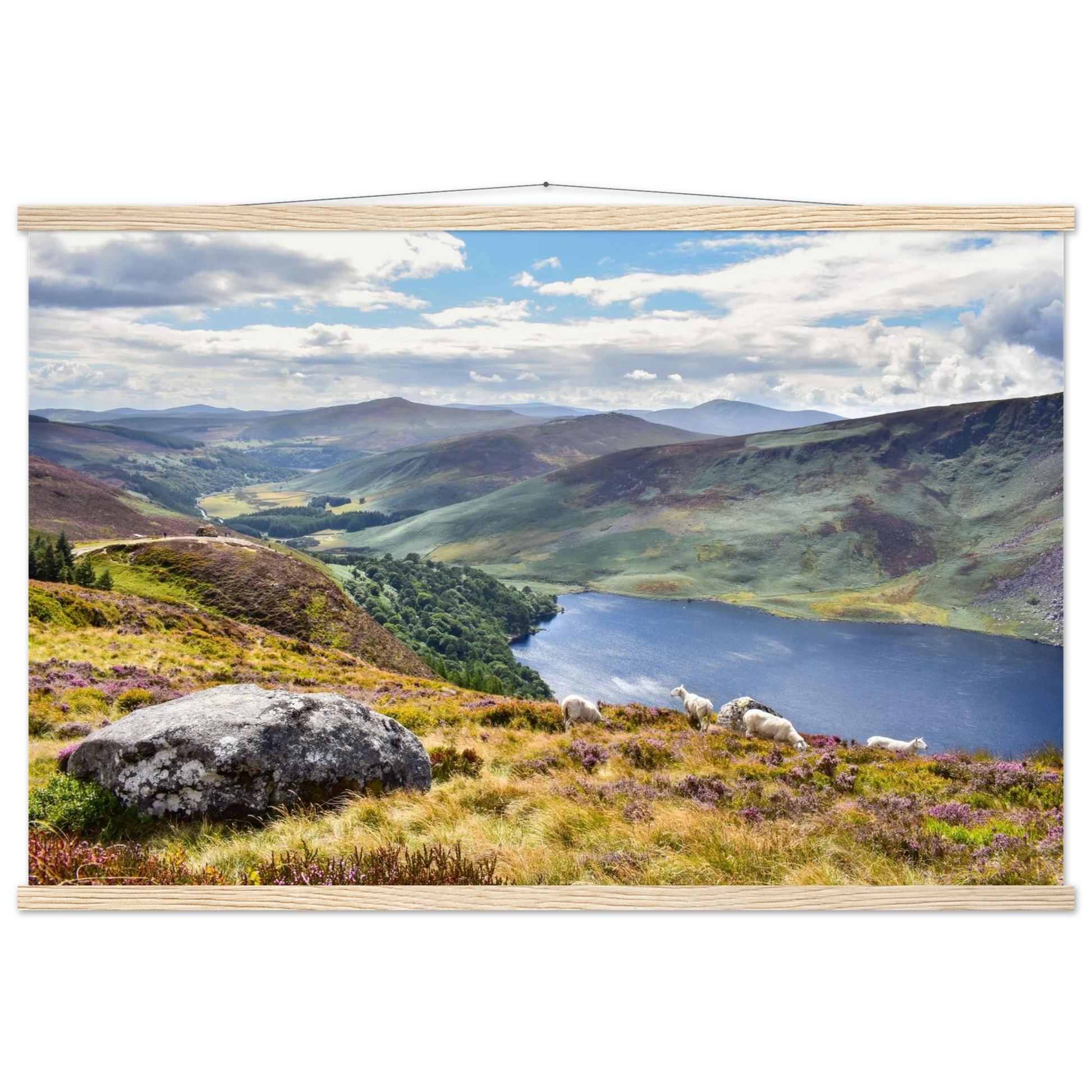 389e606c-b728-4737-b619-10ec027c0fb6