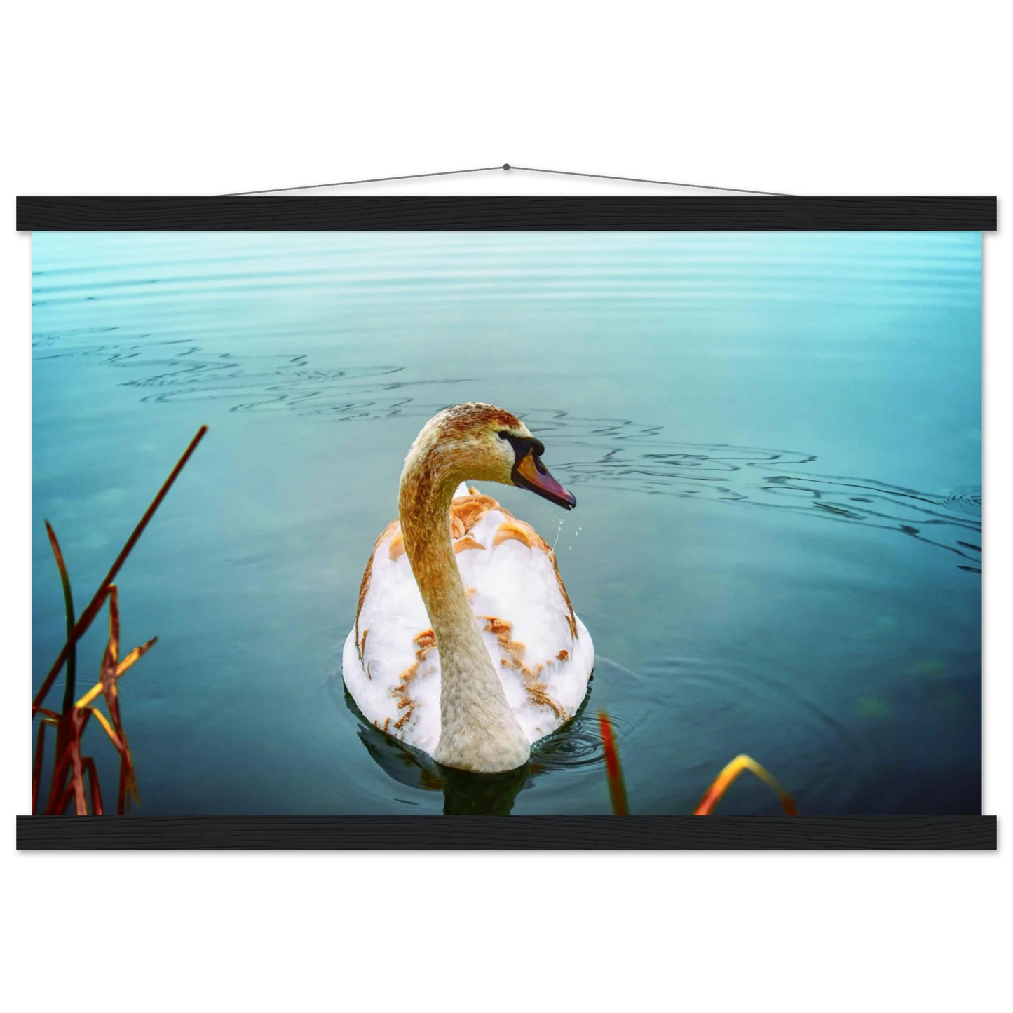 38c17910-f2bb-4ad3-9af6-10c6ac3d0f0e