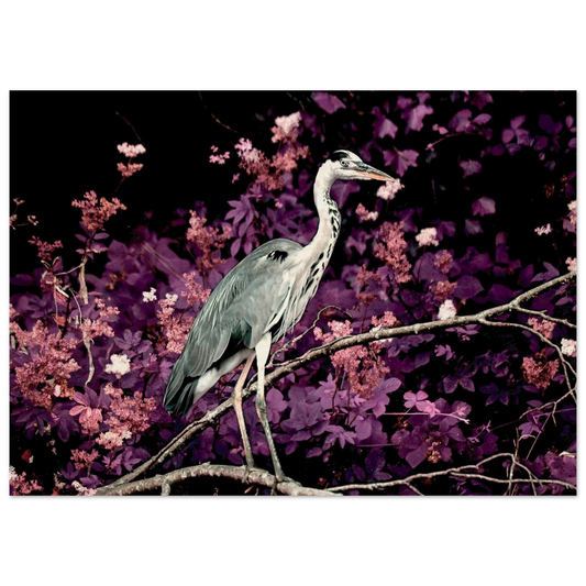 38d99a1f-f936-4dfa-a4b0-a54e821e5bf8