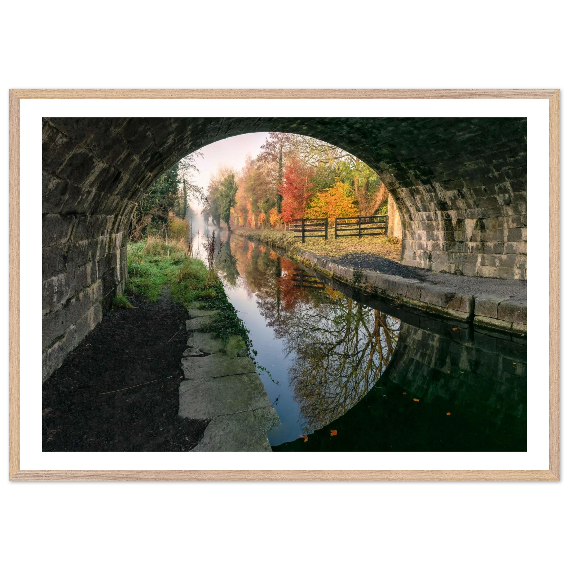 38e903ac-ee0a-46a2-b36e-ca76b7bde37f