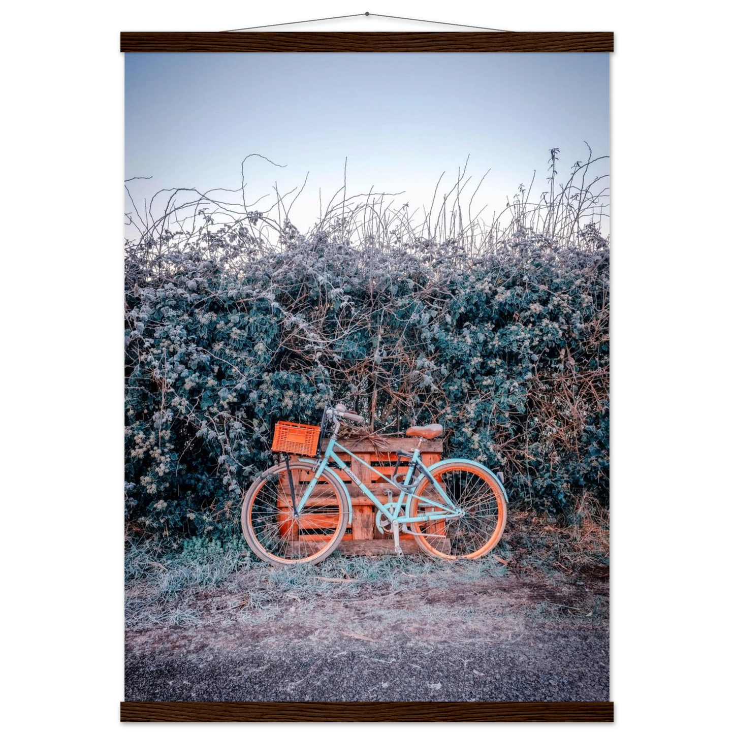 390b58d2-83f9-4899-95b0-97969bd8f314