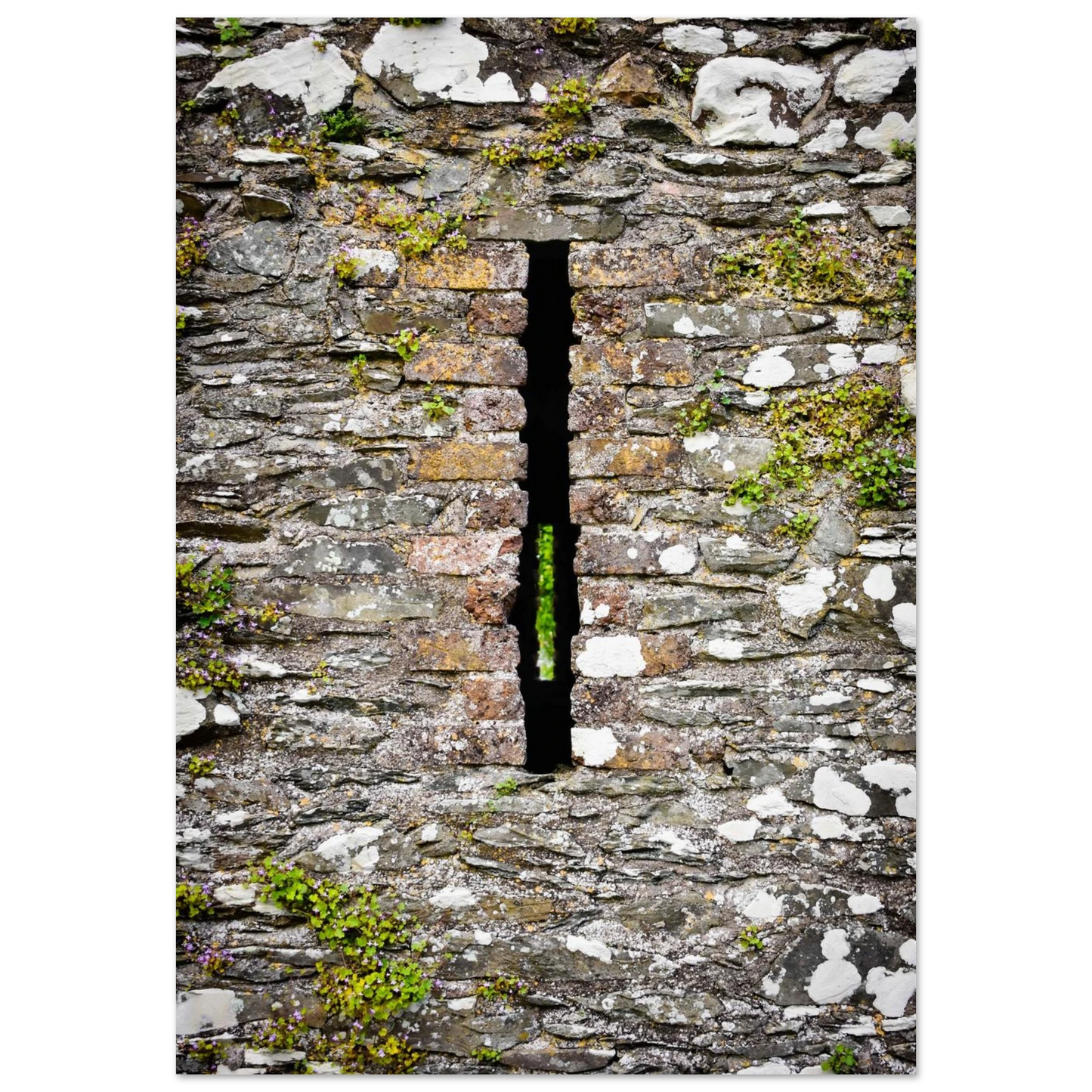 3989aed8-b32b-46a3-ba7d-01a48fff4341