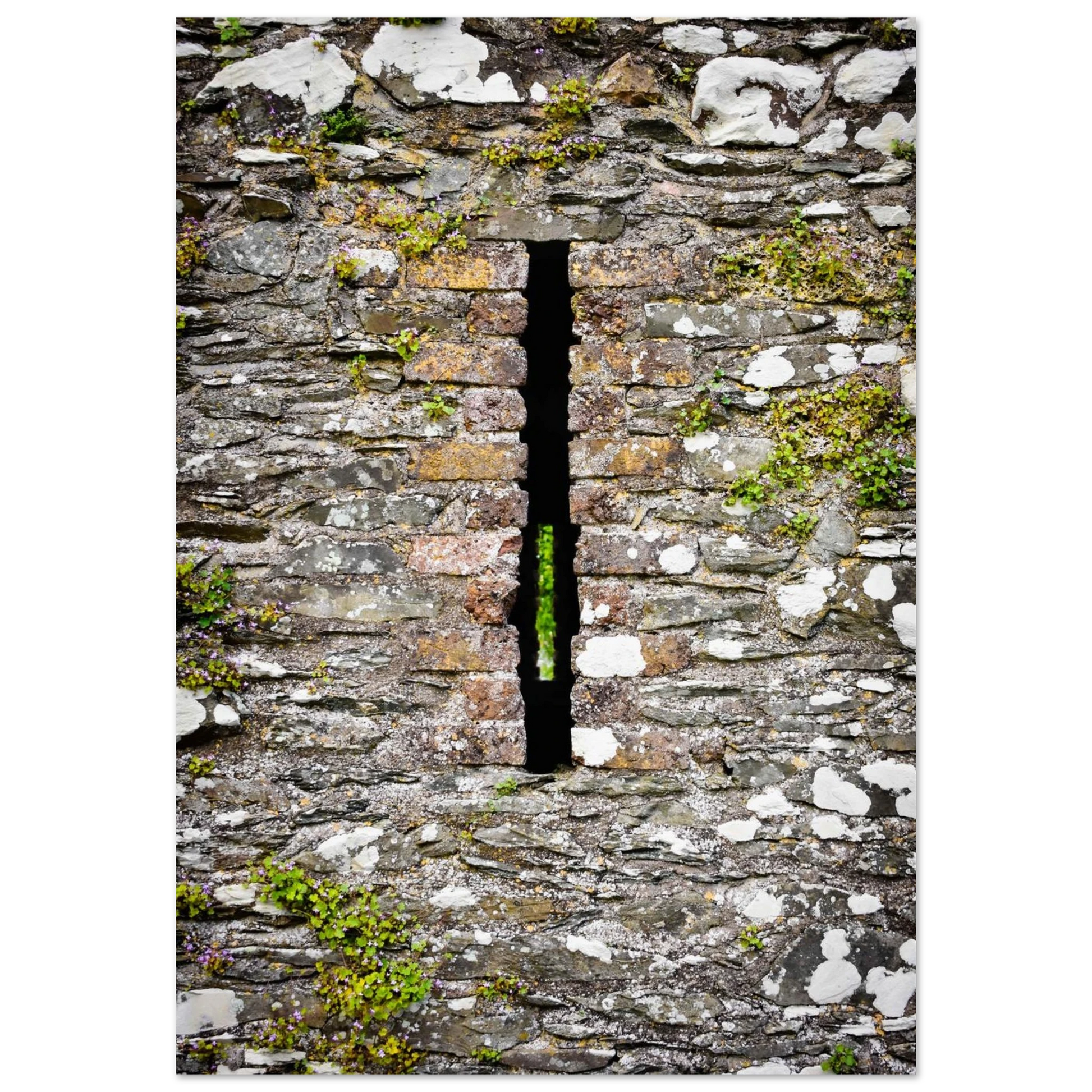 3989aed8-b32b-46a3-ba7d-01a48fff4341