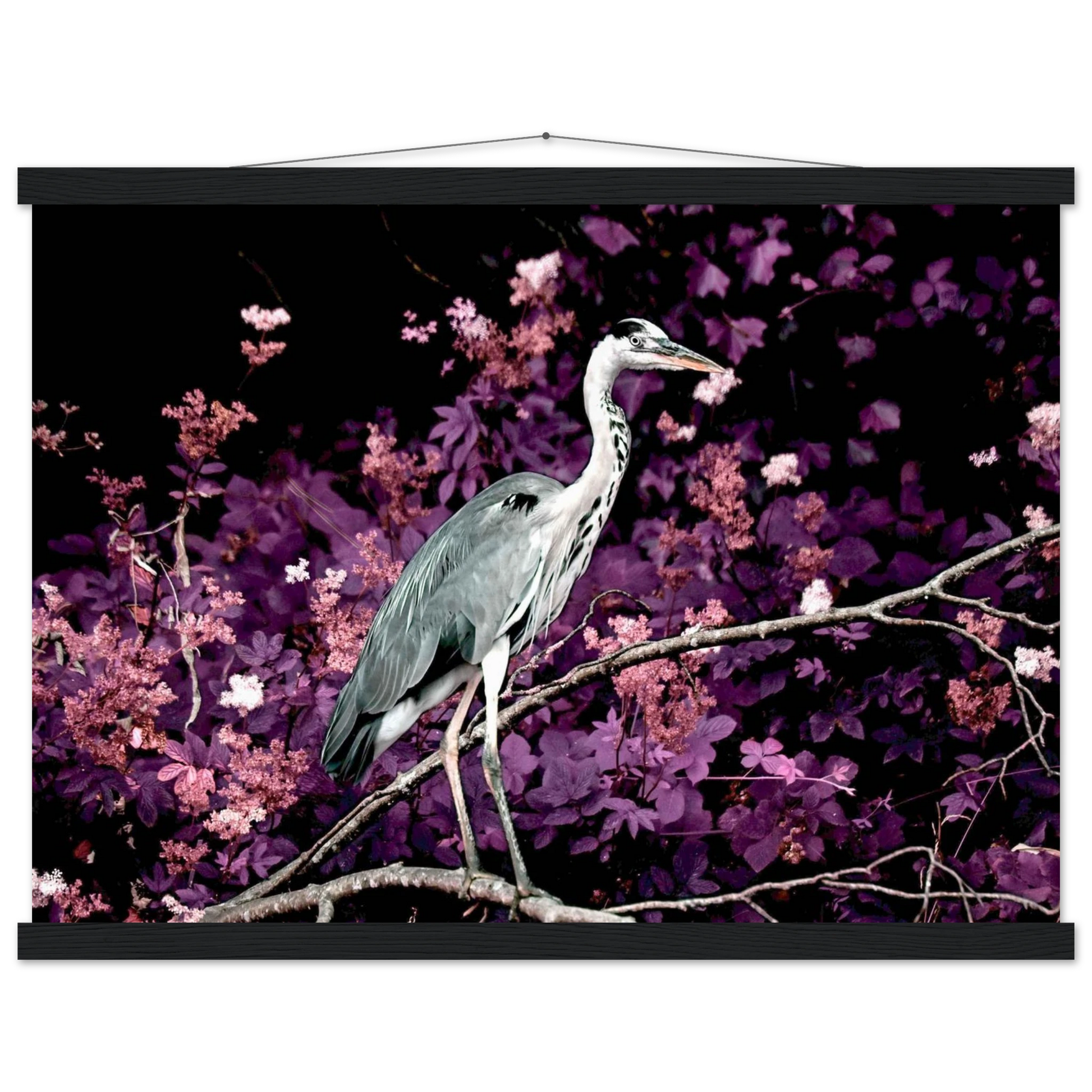 39b37756-8af7-406d-a087-bffc786aed88