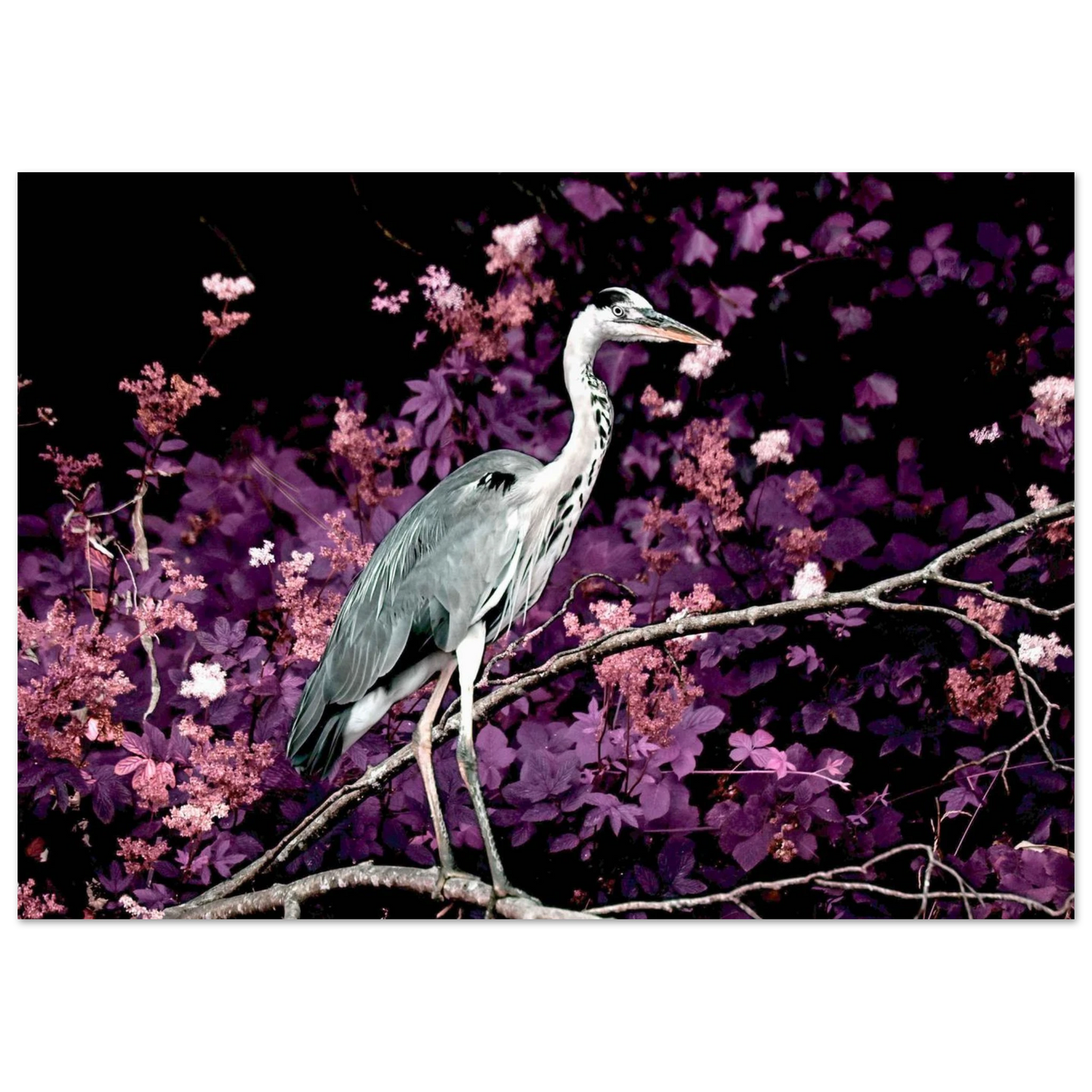 39dc06ca-e2a1-4048-bcb9-98d1364f9e2e