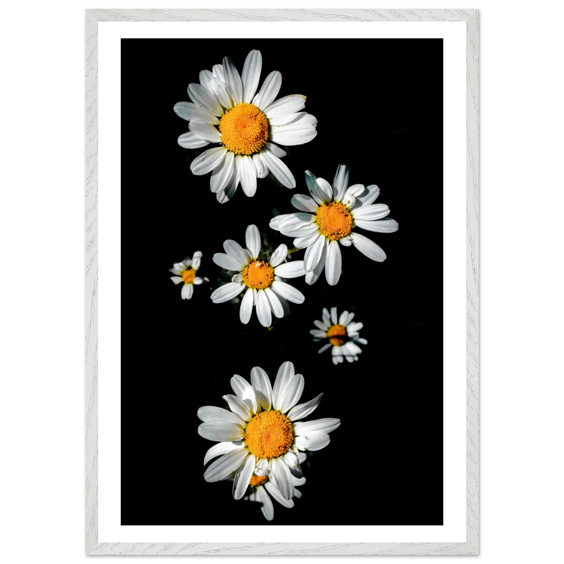 39dfd22a-120e-444e-b67b-bae09da96b93