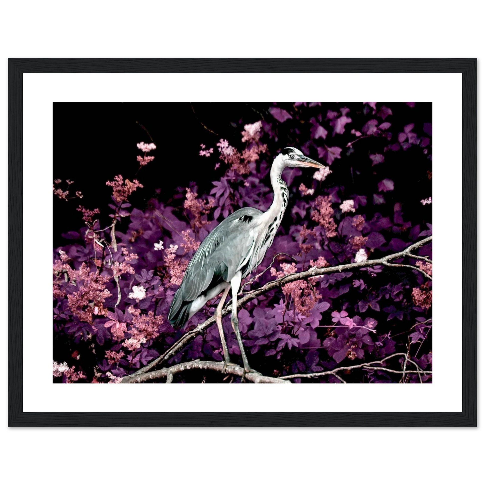 3a720589-7e21-4831-9a15-ad252b1e946e