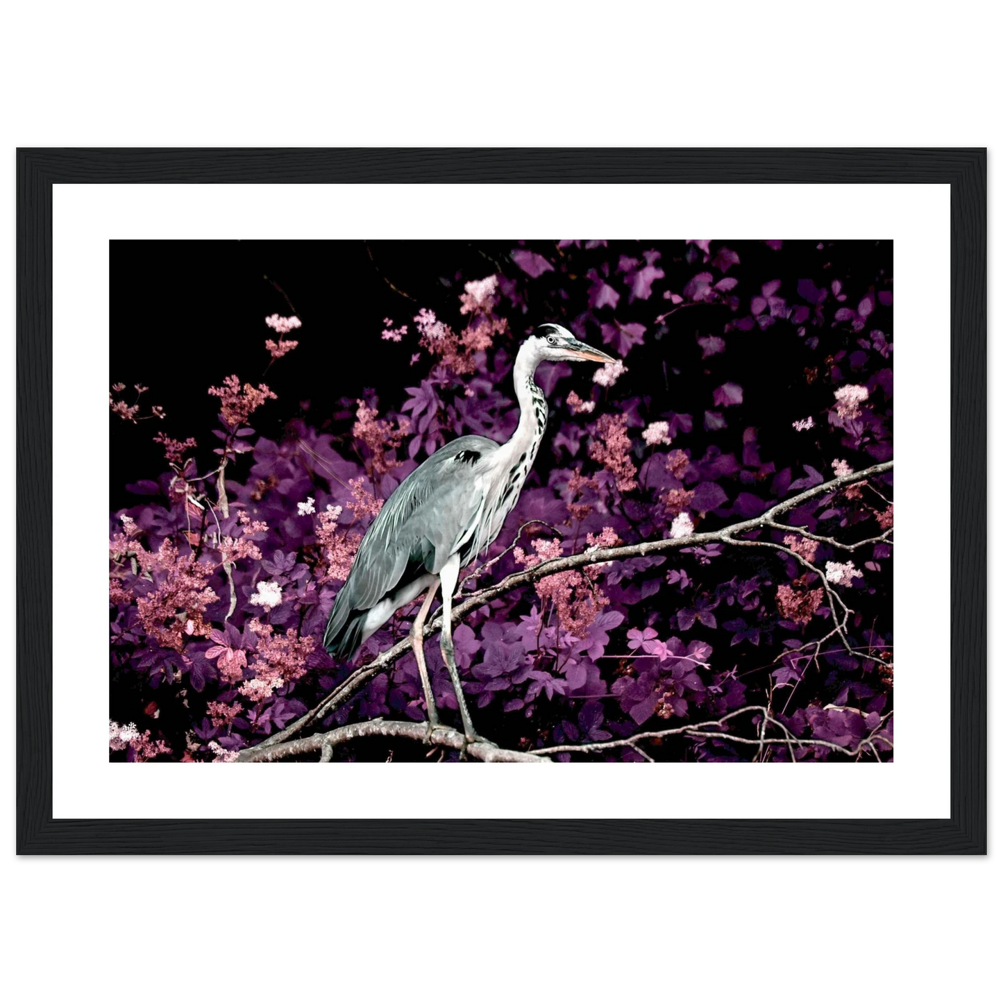 3adf210e-6ba0-414f-a1db-b85ccddd2b76