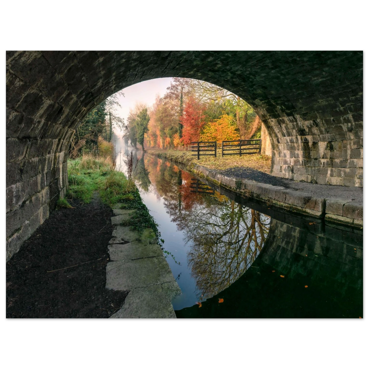 3b0b59dc-61ea-4788-9ece-1b5c08230667