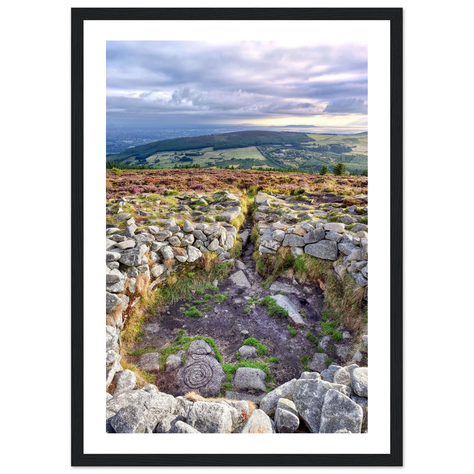 3b5156e0-5d34-4a04-8503-64c12e2c652c