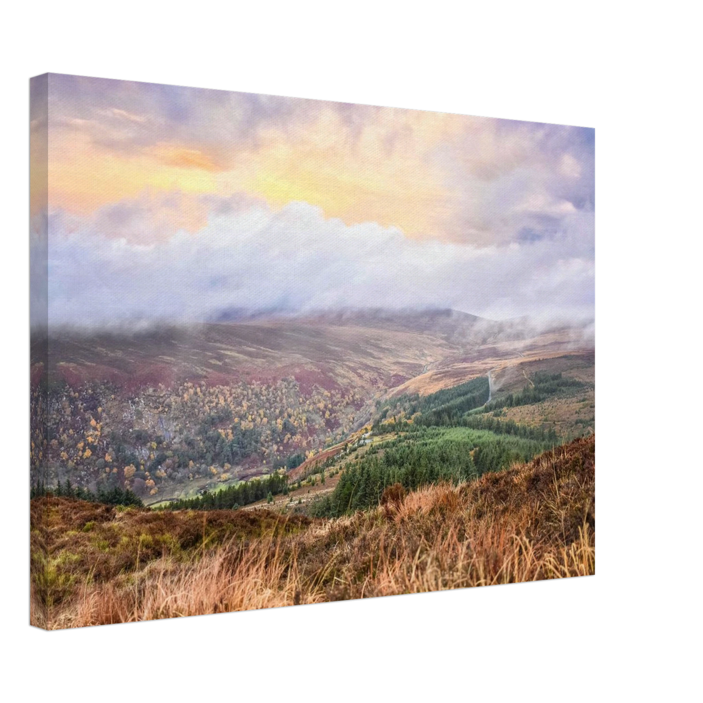 3bb12d1f-7199-468b-84e3-7ba57726c43f