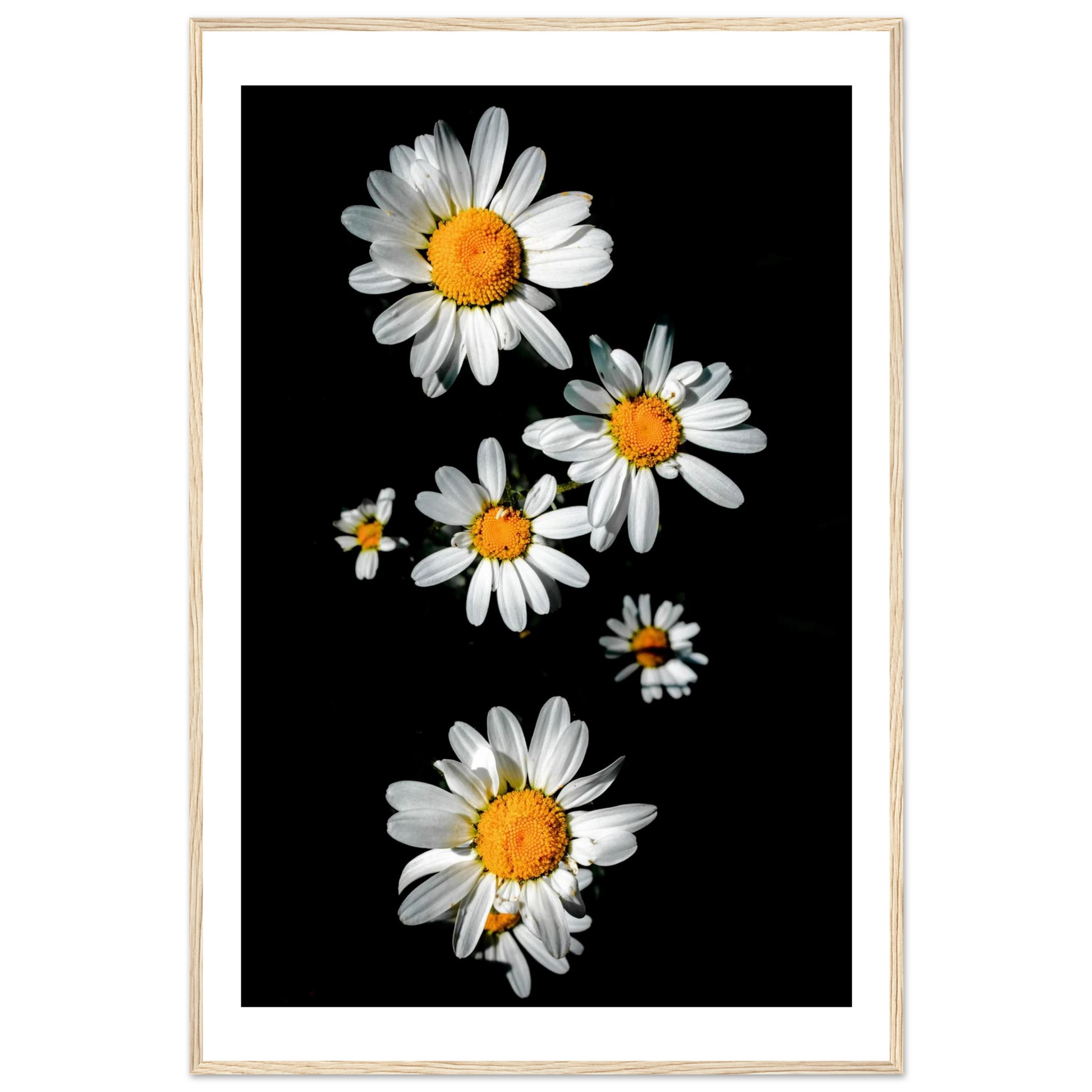 3bd0309c-2431-478a-aa29-bc9ffe3494c8