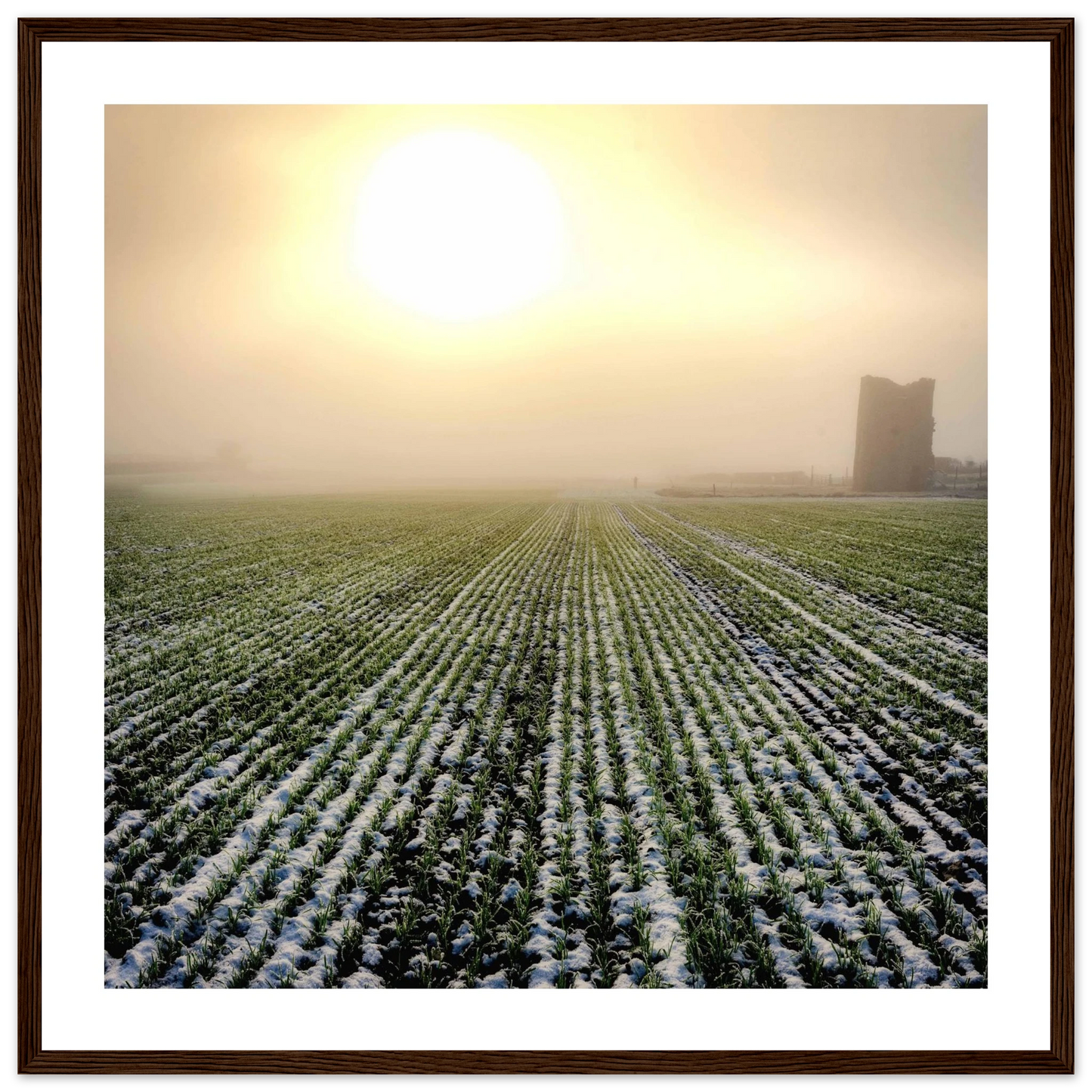 3da85d9d-b680-4fae-9e59-545f37f2b97e