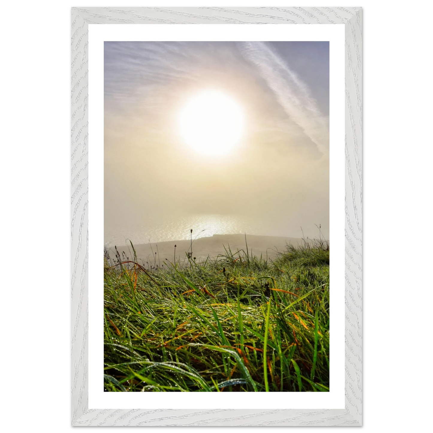 3e9d929d-0ec6-487f-b724-89707d8c17f5