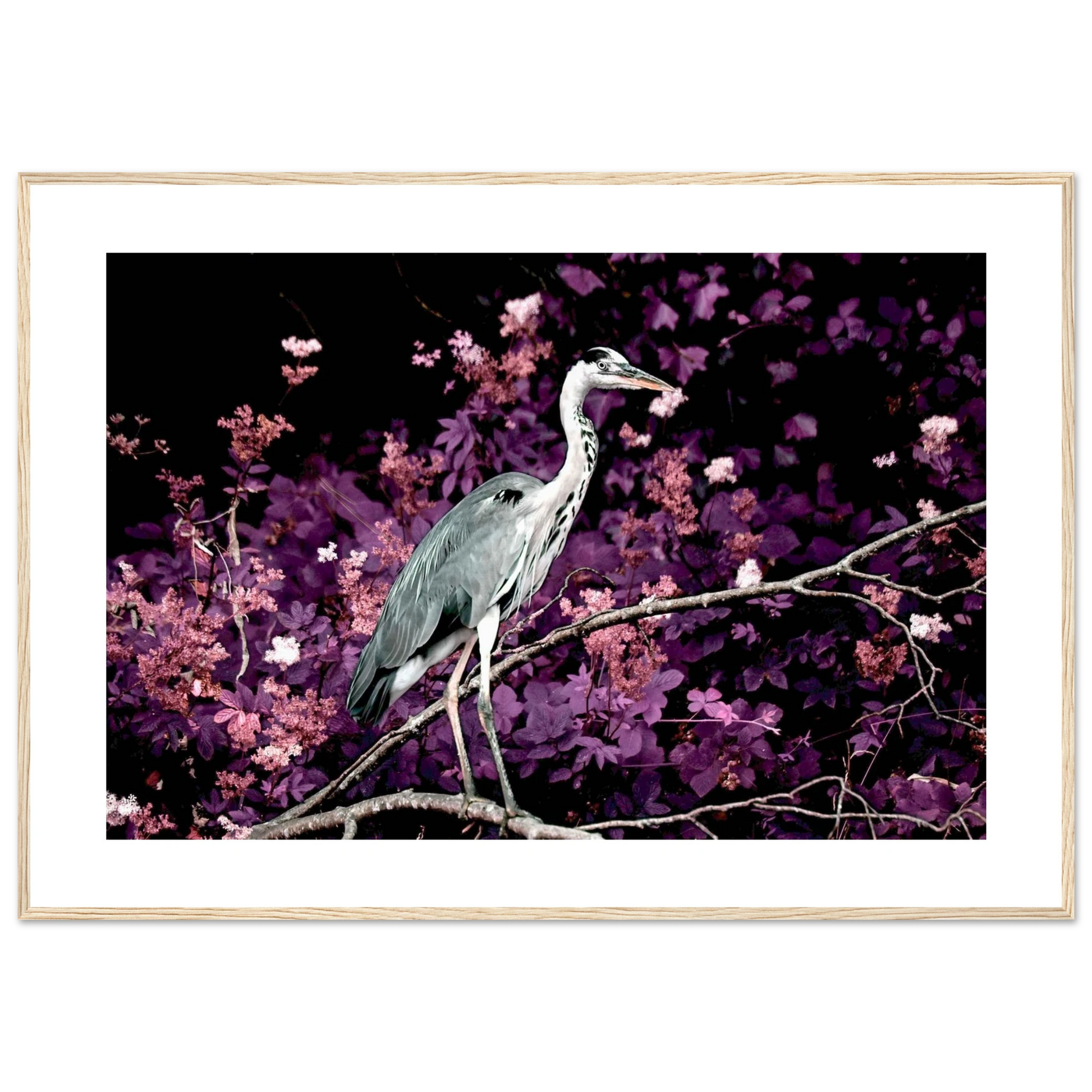 3f3a1f56-d5c1-4a7f-b6d8-a6f6483d4b64