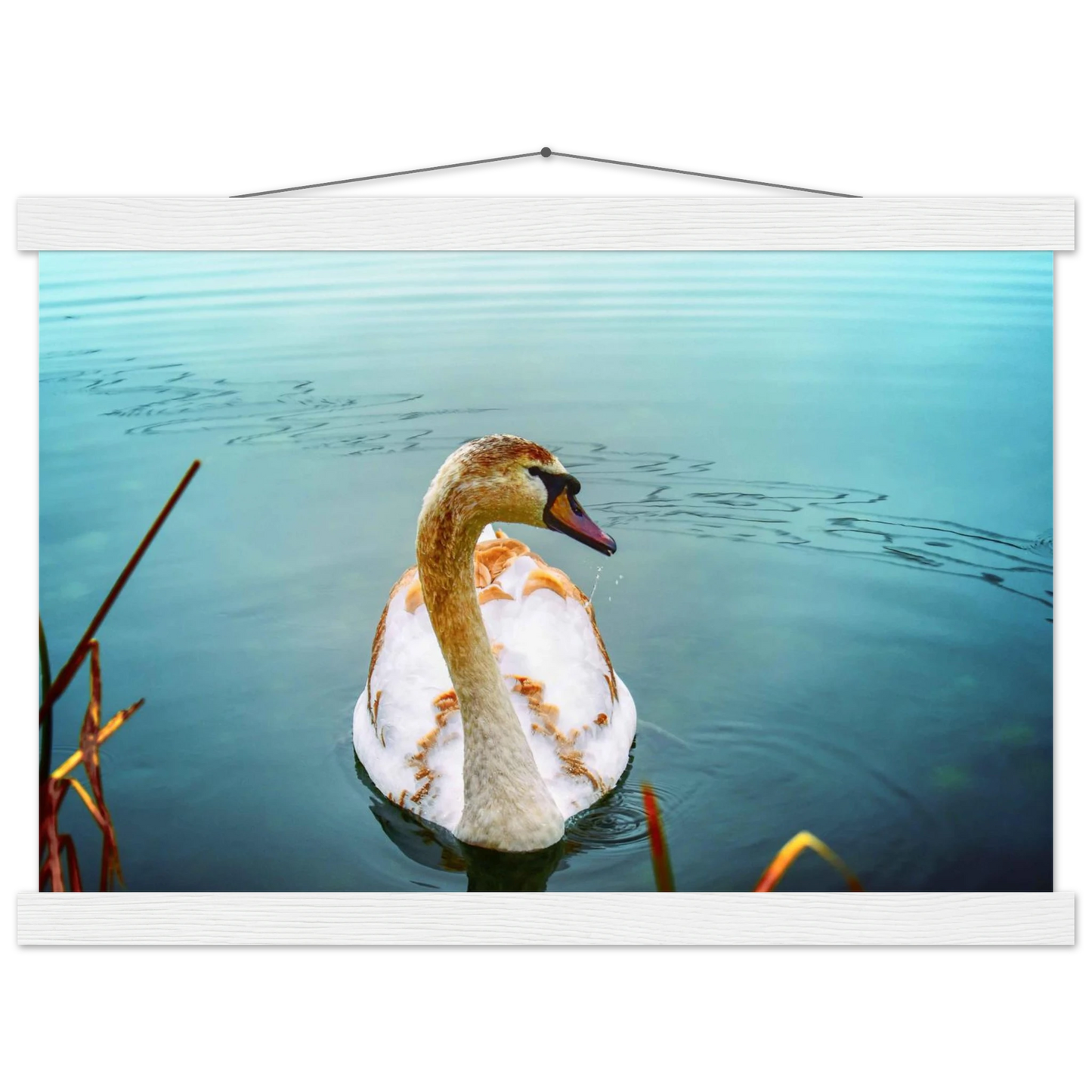 3f6fc222-409b-49c4-92e7-6f97cd9437de