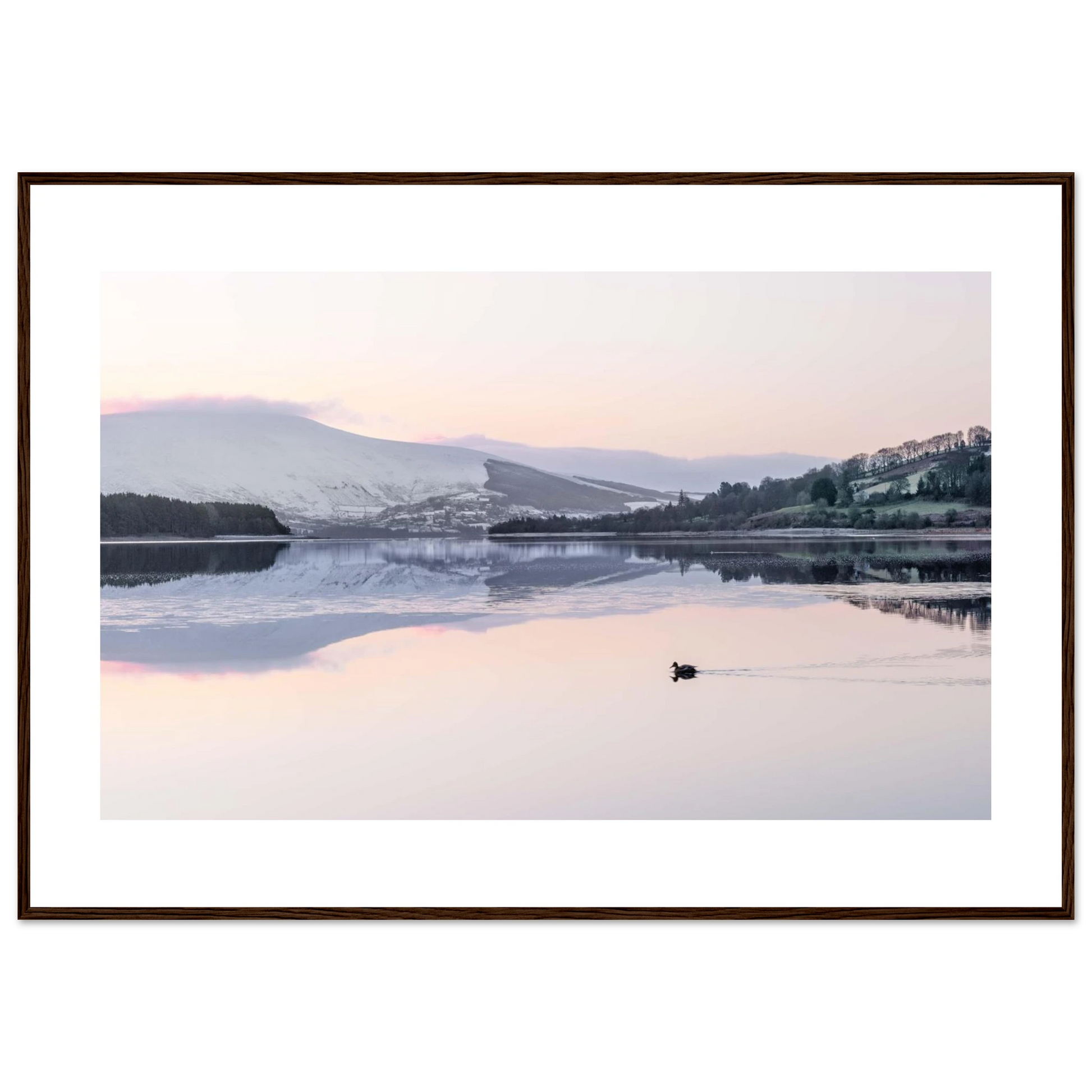 3ff20ef2-8191-418e-9e05-8aba96f3b05e