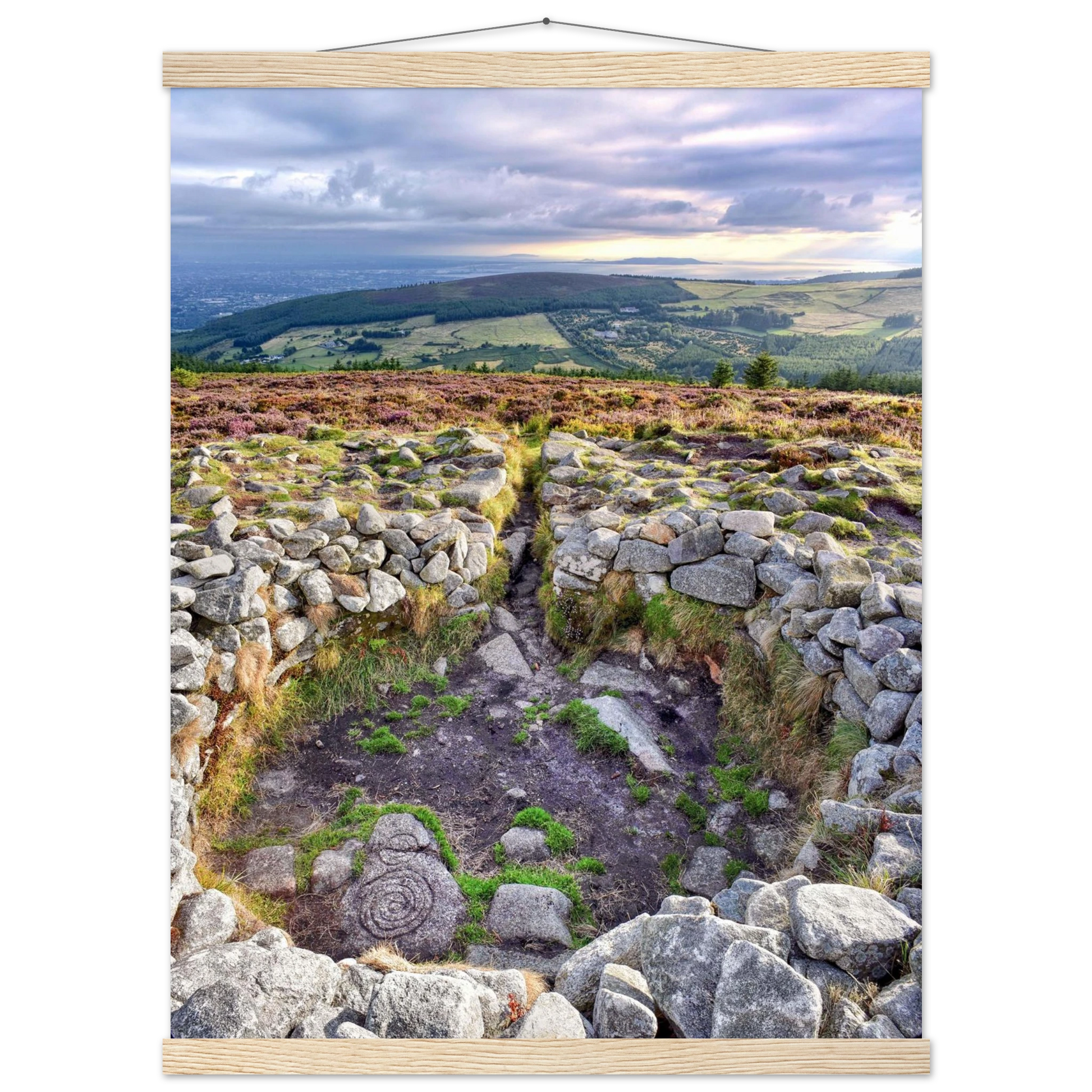 3ff39335-d700-469d-9570-704cf8d89f9c