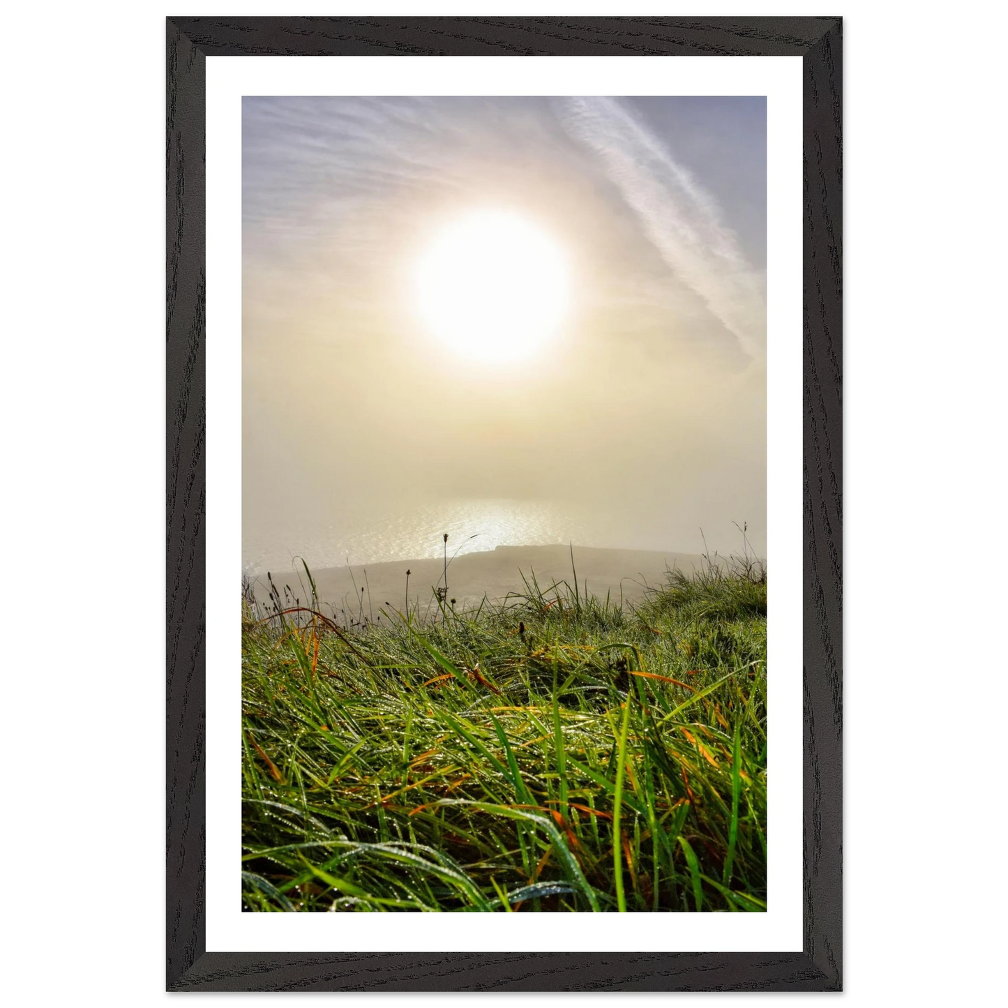 401d90fb-3caa-4d75-b8aa-a5426ddf001d