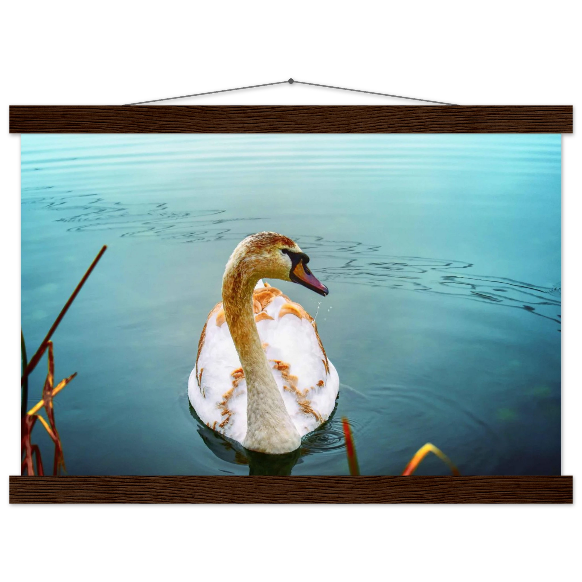 4024bc0d-0af1-4da3-b262-8e5638cd20e2