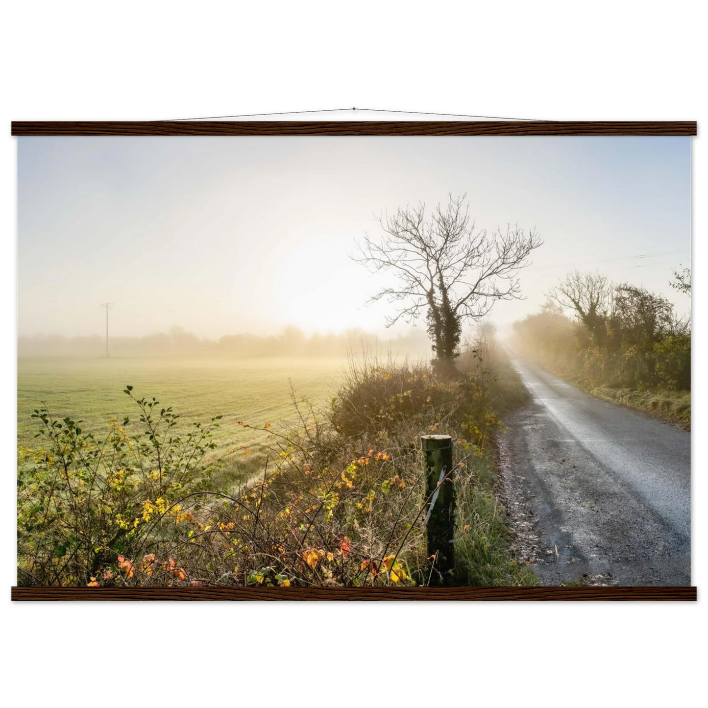 4038a05d-c53e-4e05-b321-9e7ca6d2cf96