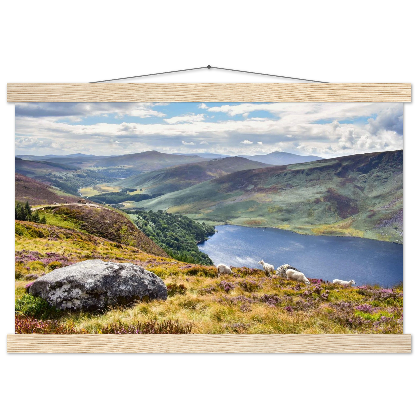 4044c74a-4c51-4987-81aa-e7b39cde0013