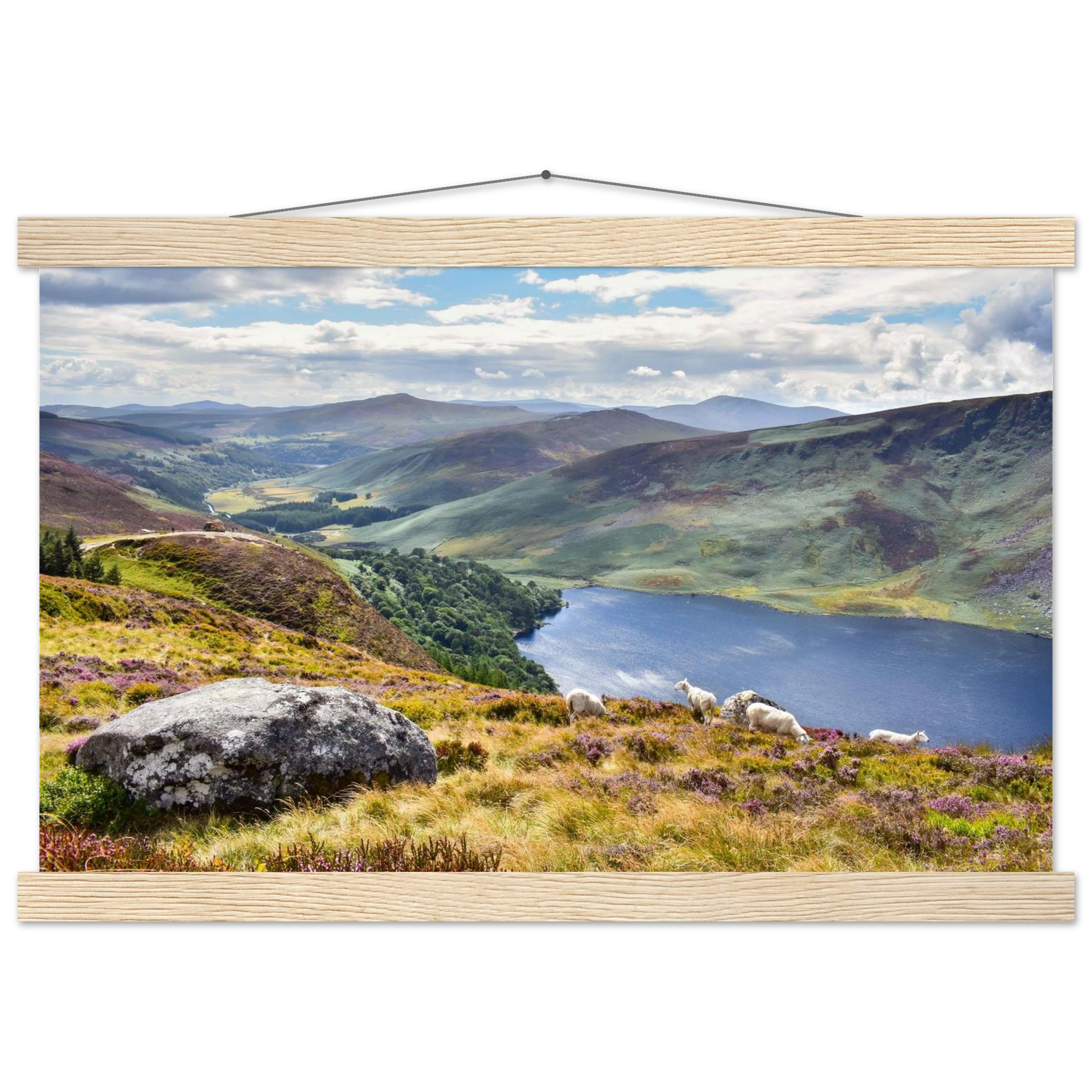 4044c74a-4c51-4987-81aa-e7b39cde0013