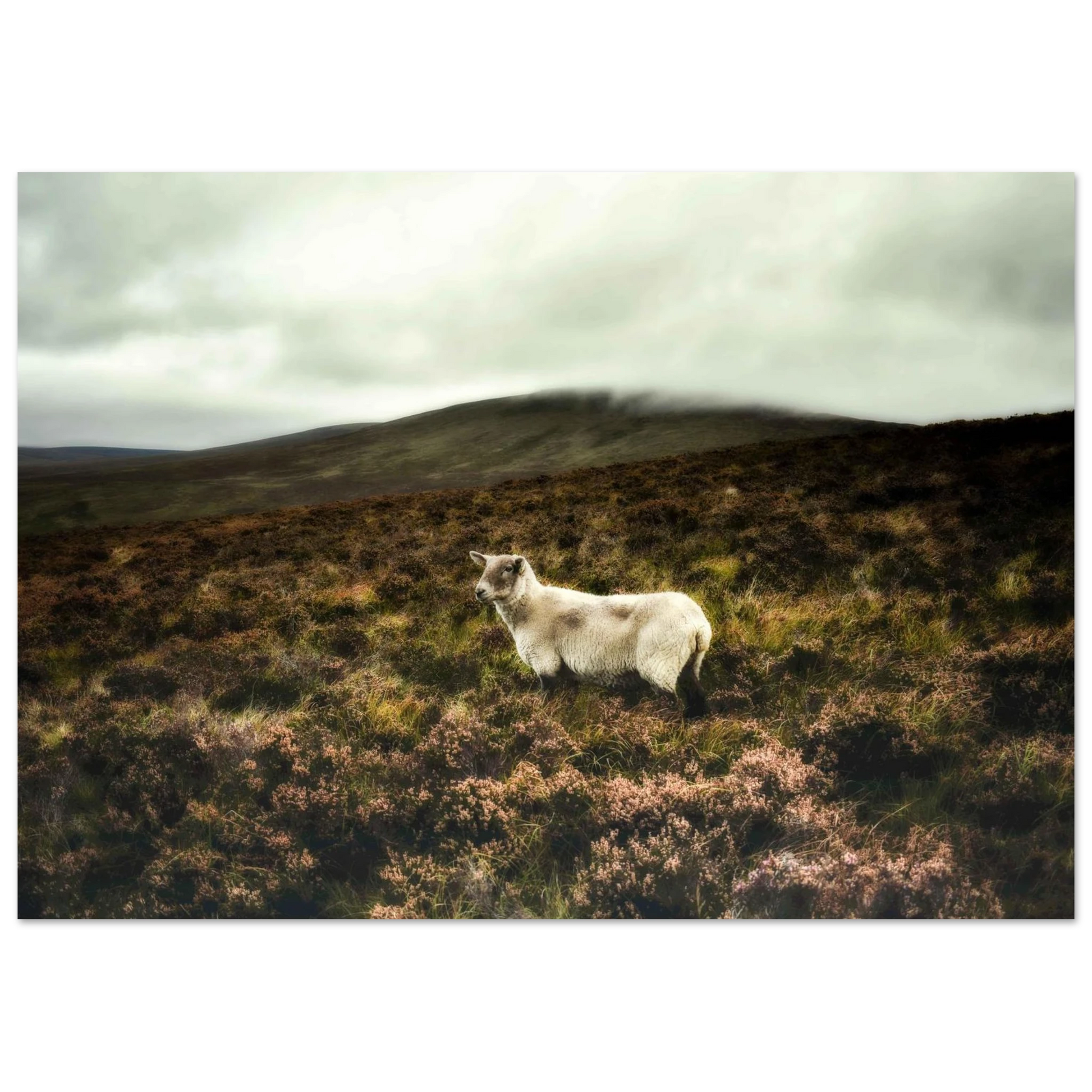 40691e7d-9ce4-4629-ae68-2b2e7e7829b5