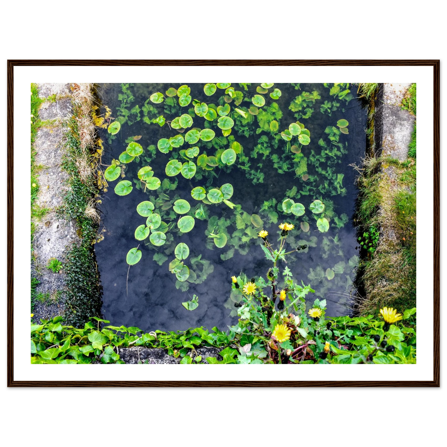 40a8063f-dc81-471f-9e34-d76a549ac57b