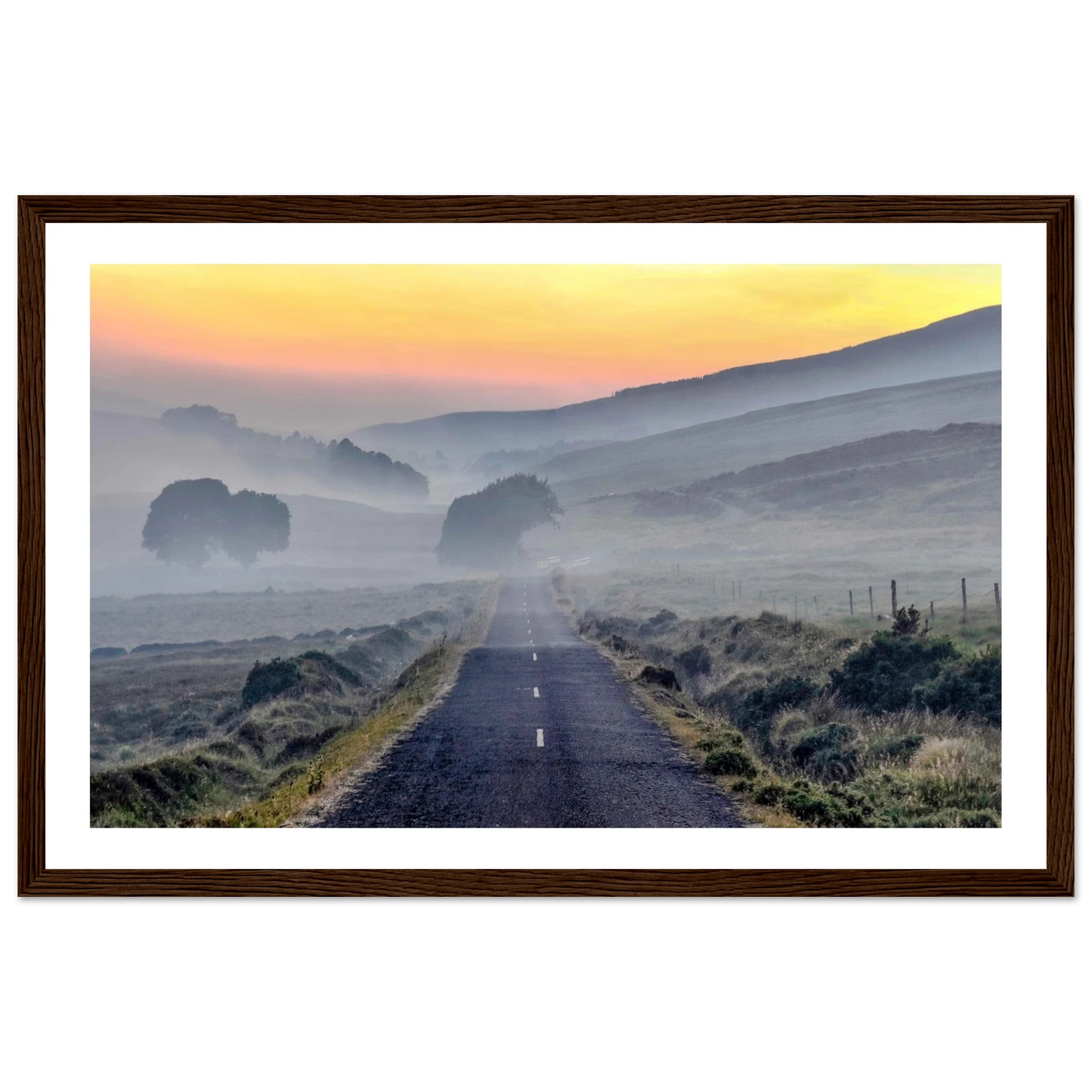 40b898e7-b079-41d9-b236-1de22e8dbc46