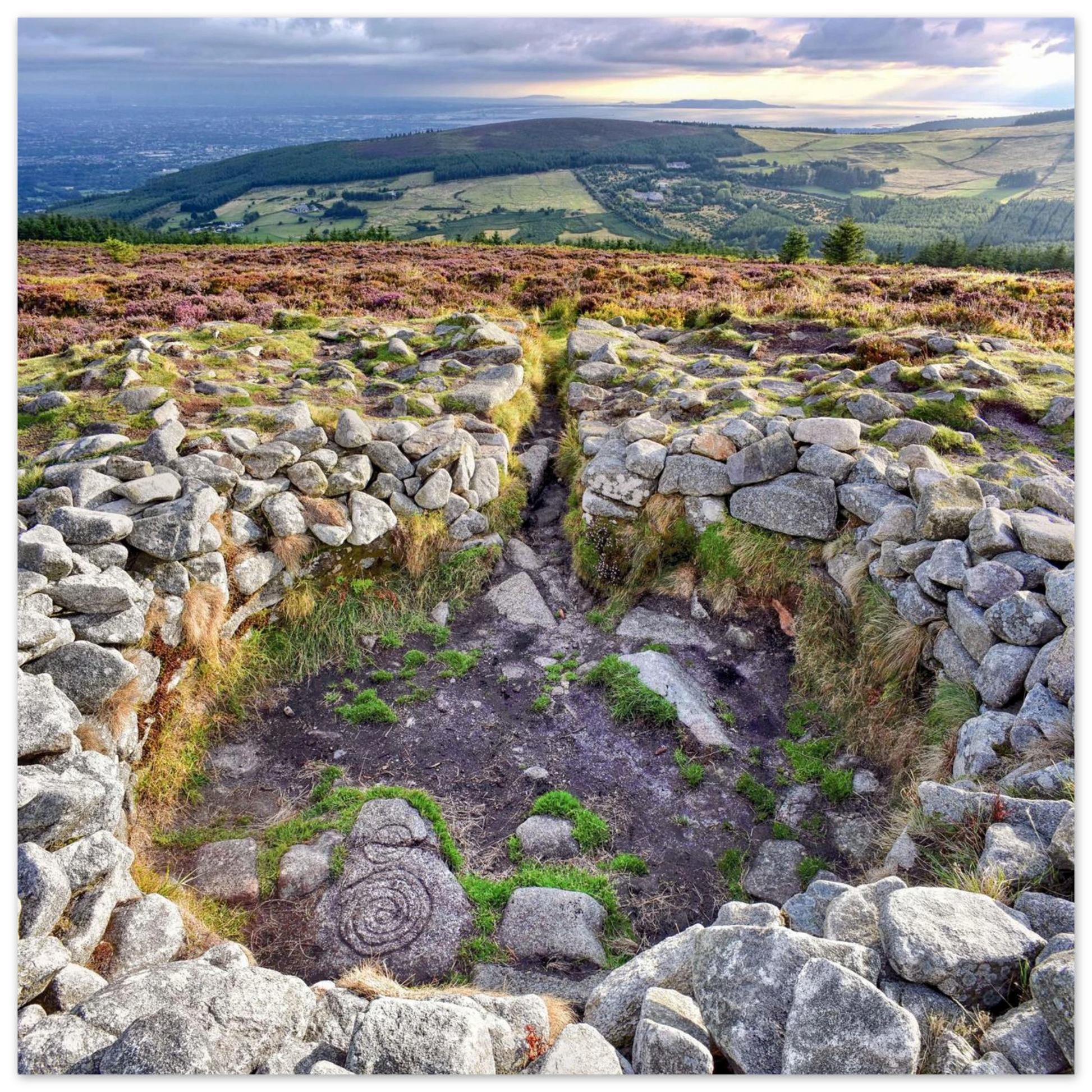 40e79fe3-fb83-4eb2-8388-cd27f7903f53