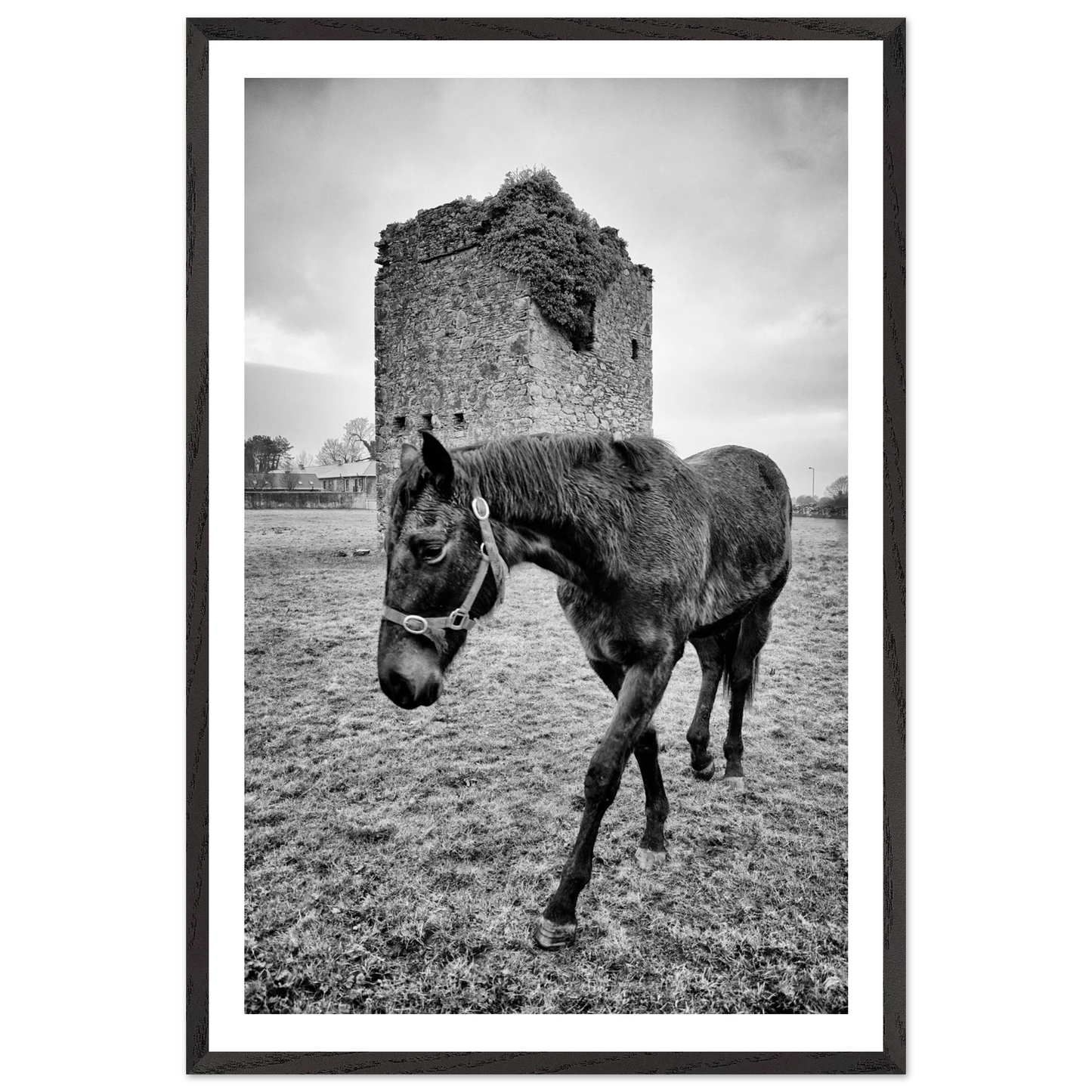 40f1147e-c960-4c47-ad41-4771fe19b1dd