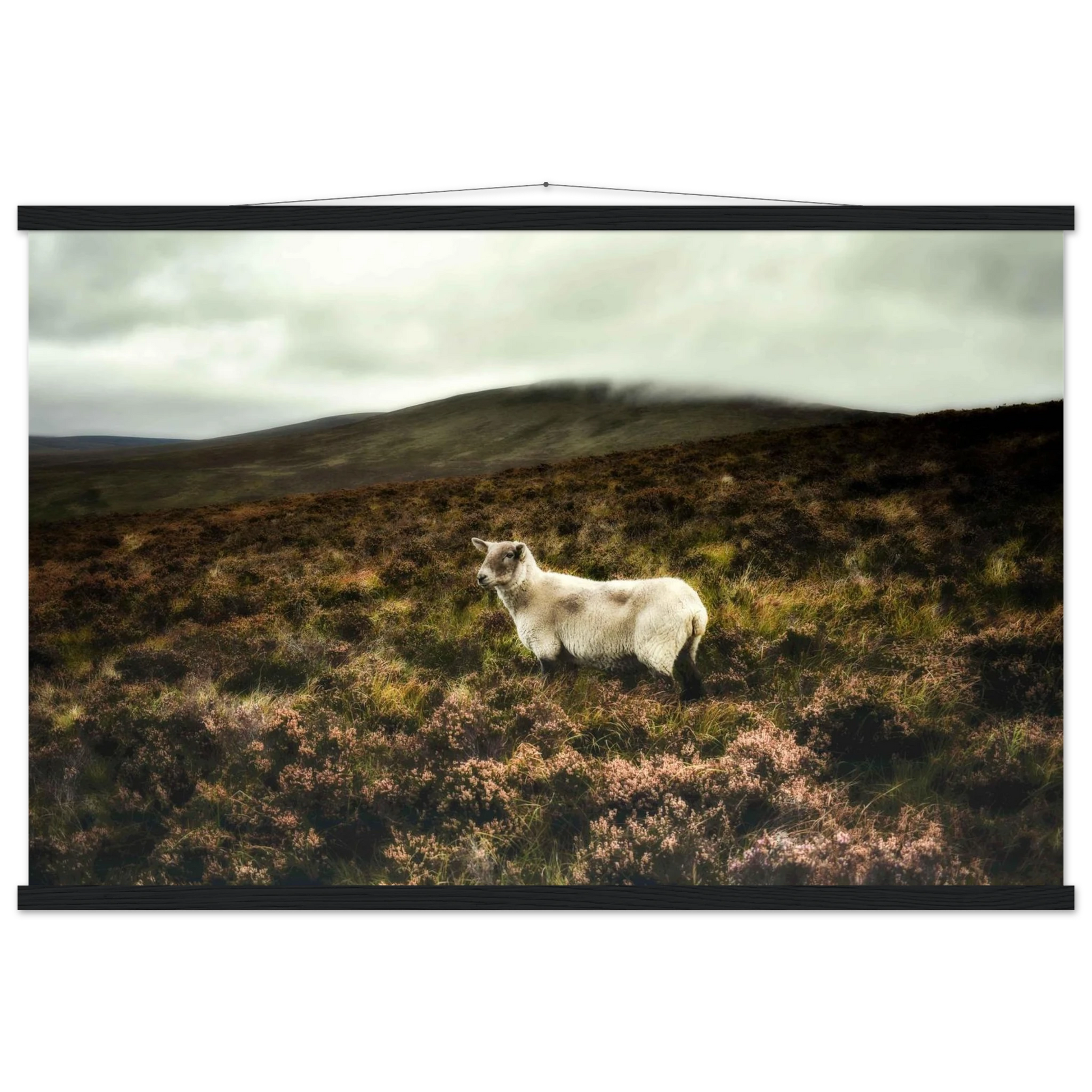 40f5d33d-065e-4e35-a91b-5c6d370b7aeb