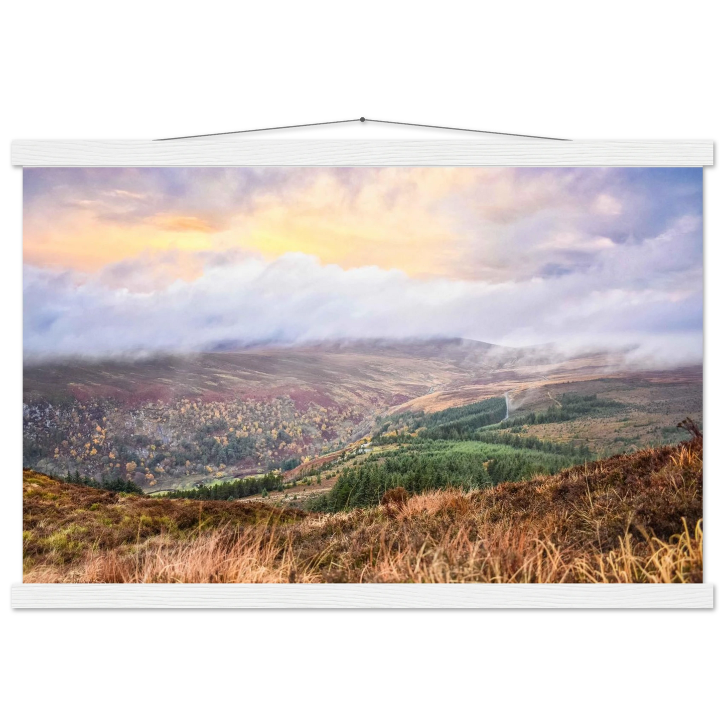 412edb89-4301-49bb-9ae2-0173821c52cb