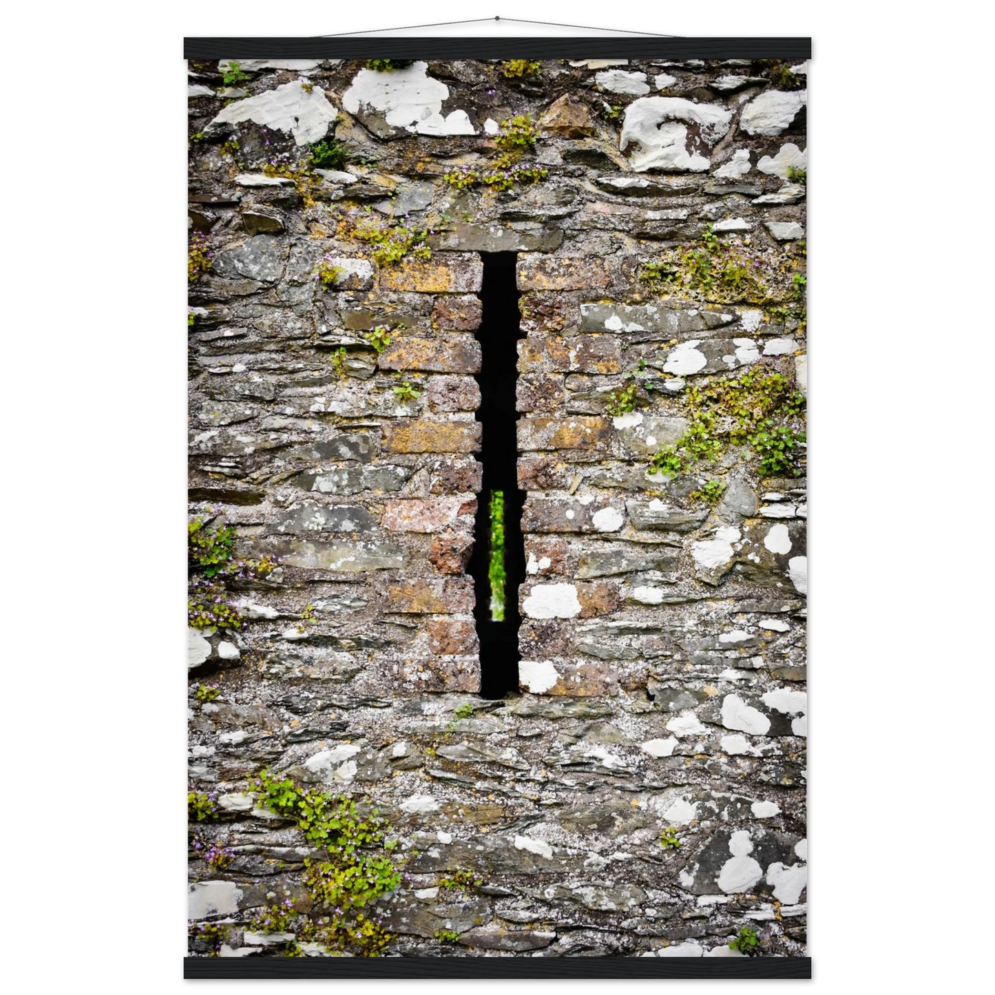 41664a4f-b590-4164-ae5b-a157f2268bf3