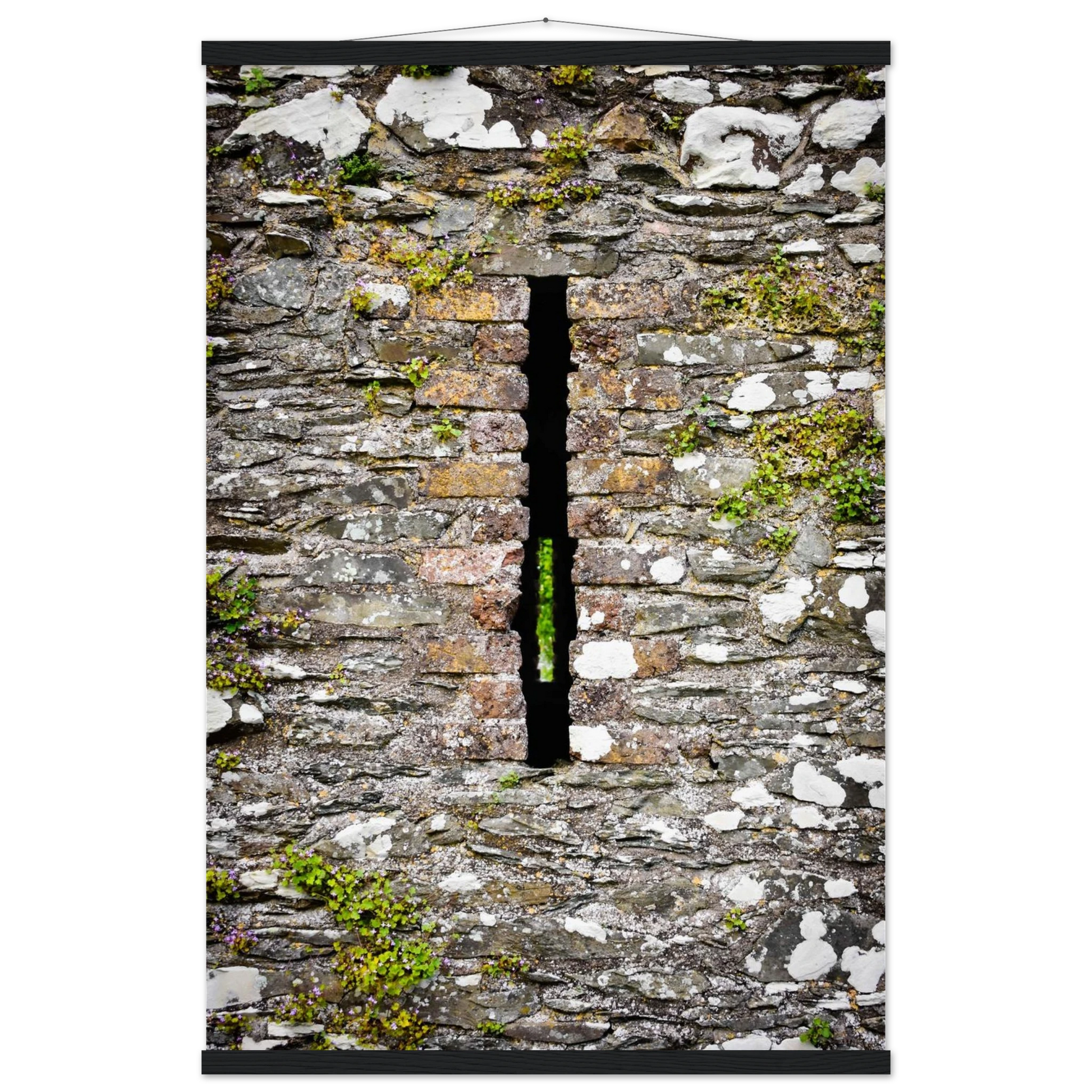 41664a4f-b590-4164-ae5b-a157f2268bf3