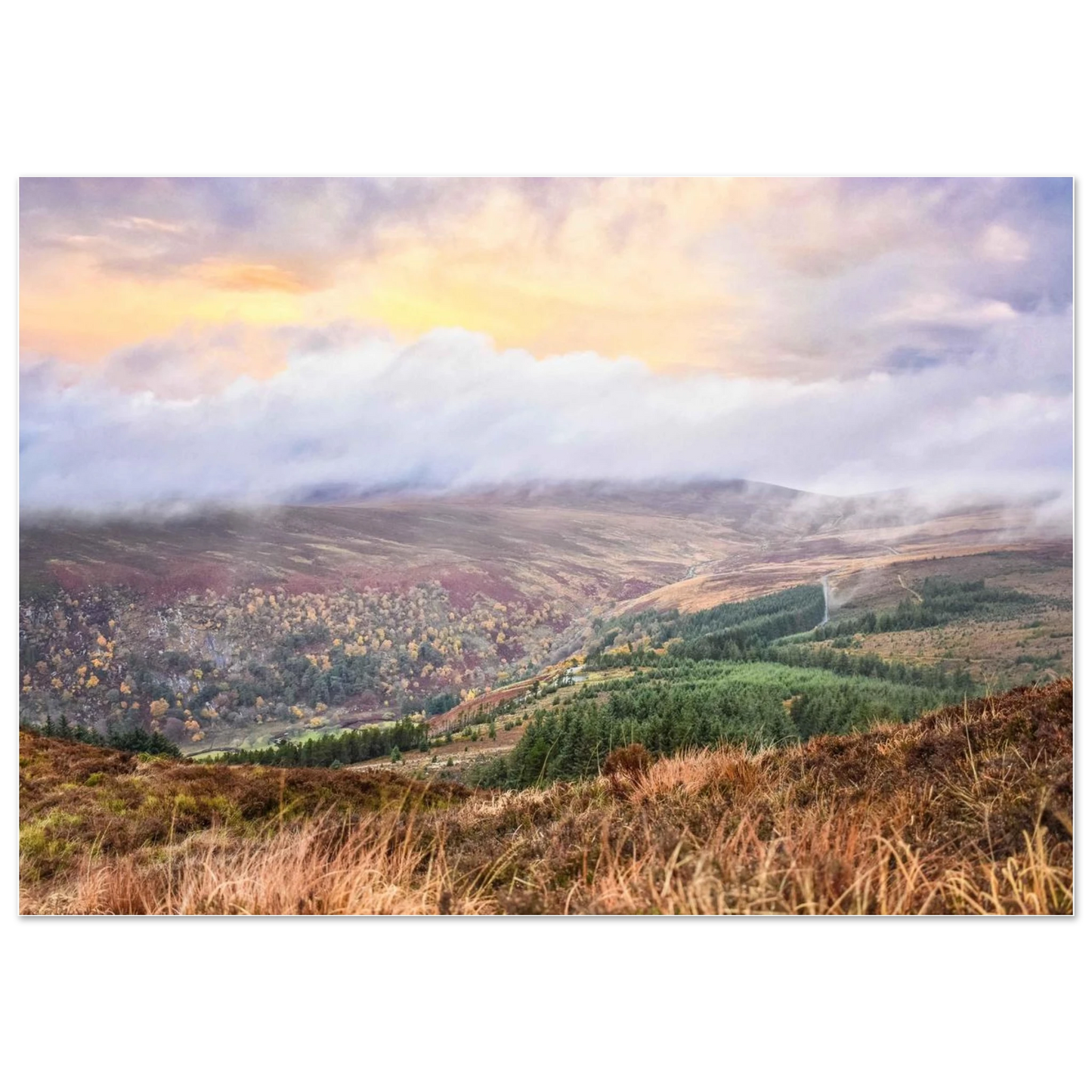 418b7ca0-ae24-472d-adf0-efeb3f0a5154