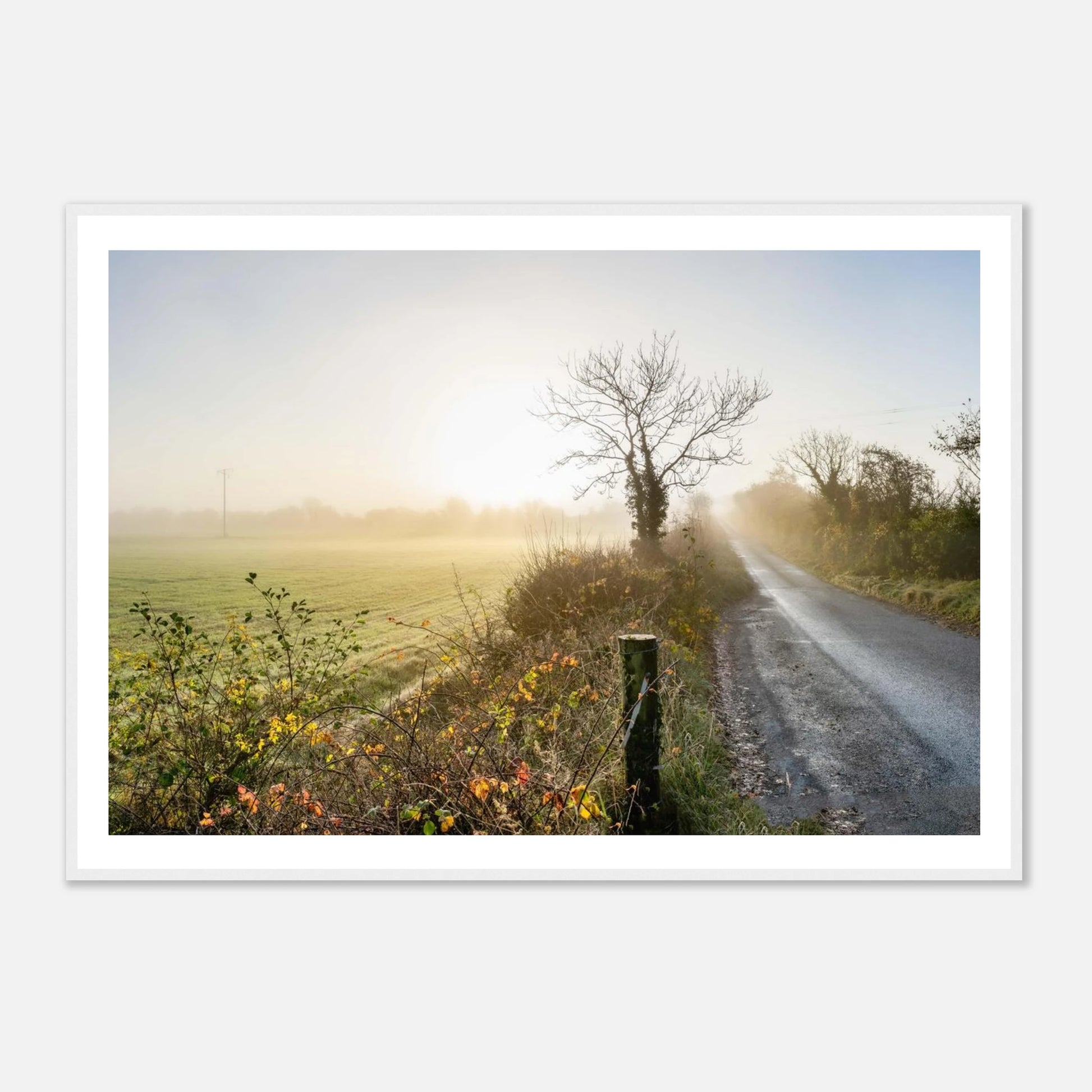 41b41a60-a003-4bec-a369-5f9ac86b121a