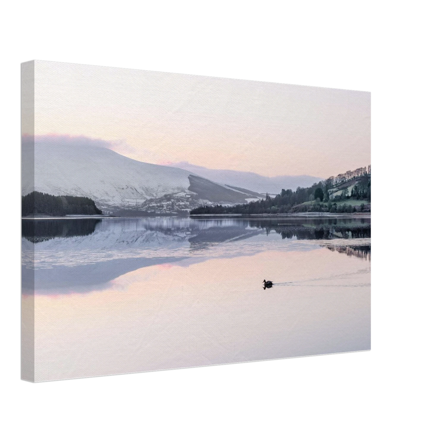 41d351ed-5e13-4340-a2c7-f1b34d4a5717