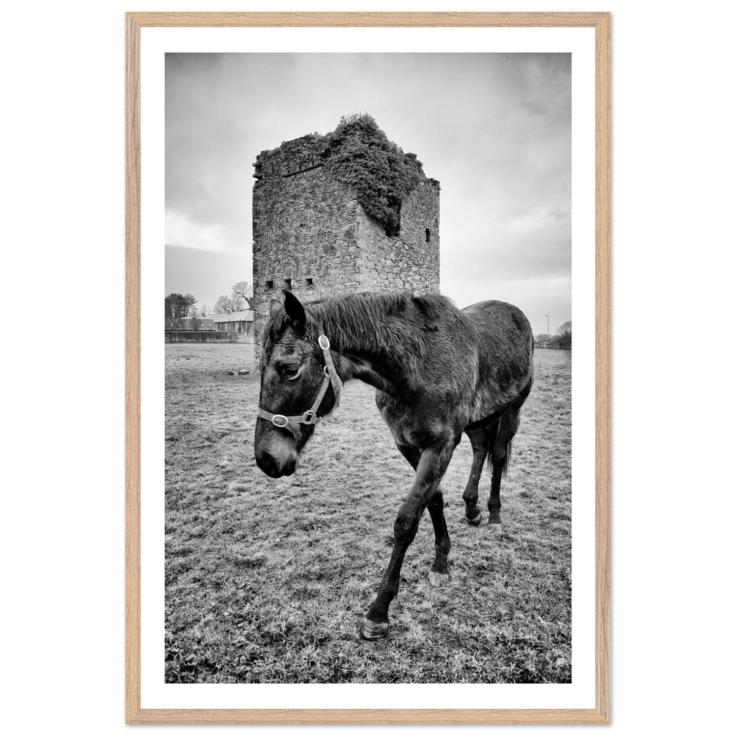 4214dc7d-7149-4e32-965c-b0cac7499e09