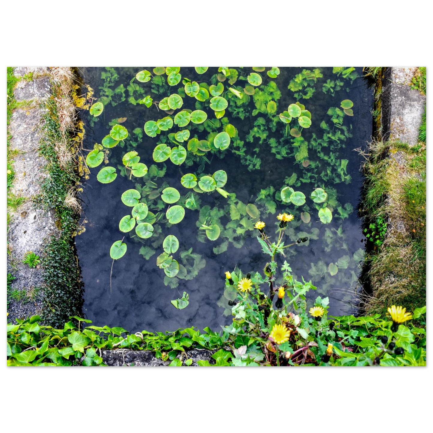 421728cb-ab93-4de2-a274-fe4e28de4f77