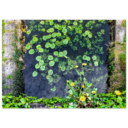 421728cb-ab93-4de2-a274-fe4e28de4f77