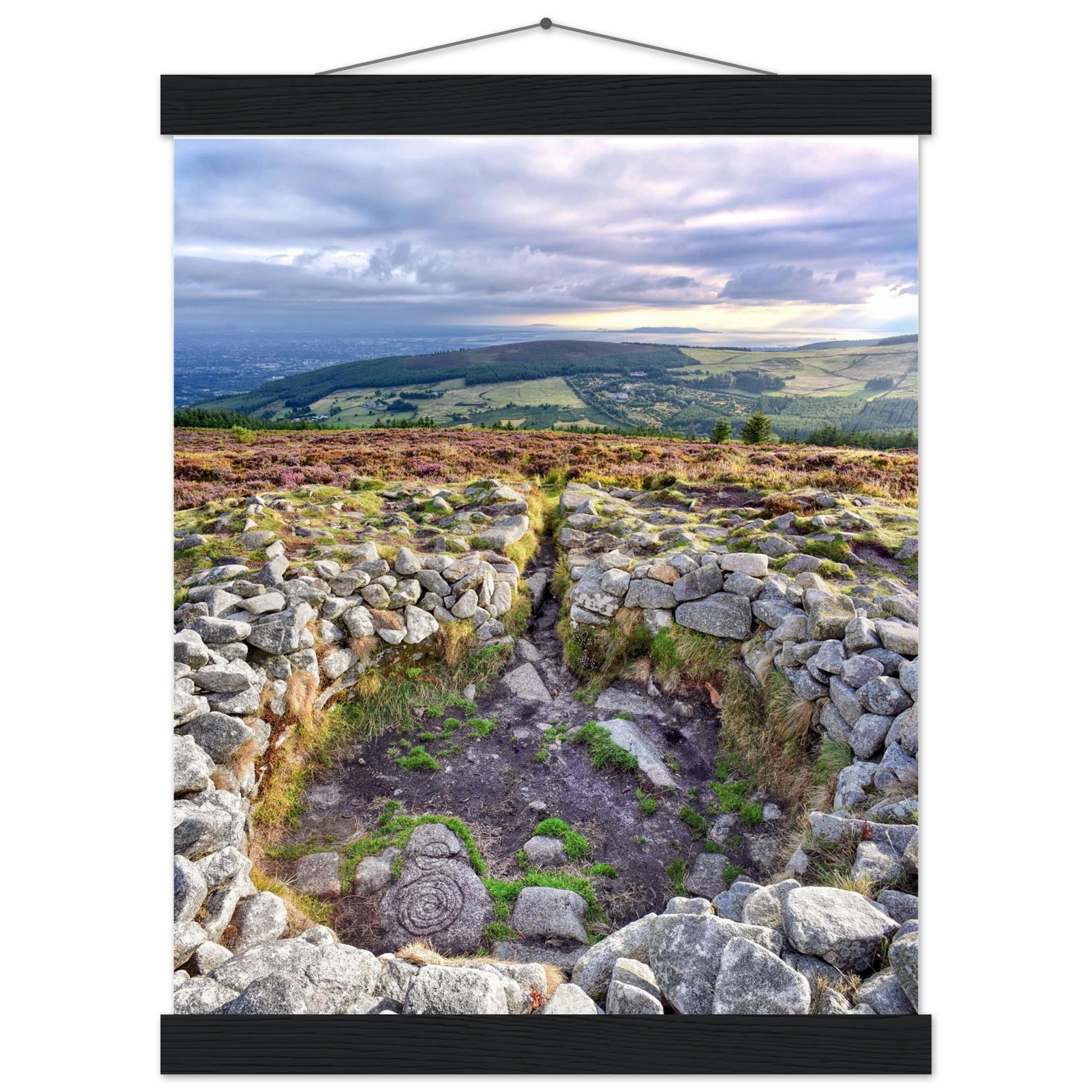 4291d034-b6d4-40a2-83db-7387ba735973