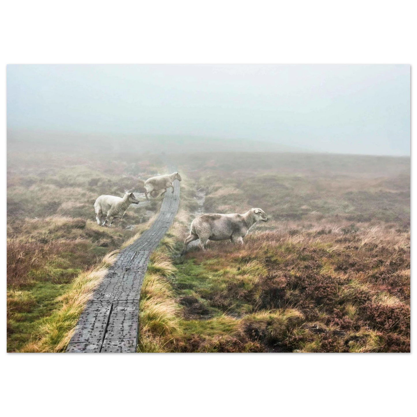 430578dd-f22b-49ff-88b8-a6416de0de3a