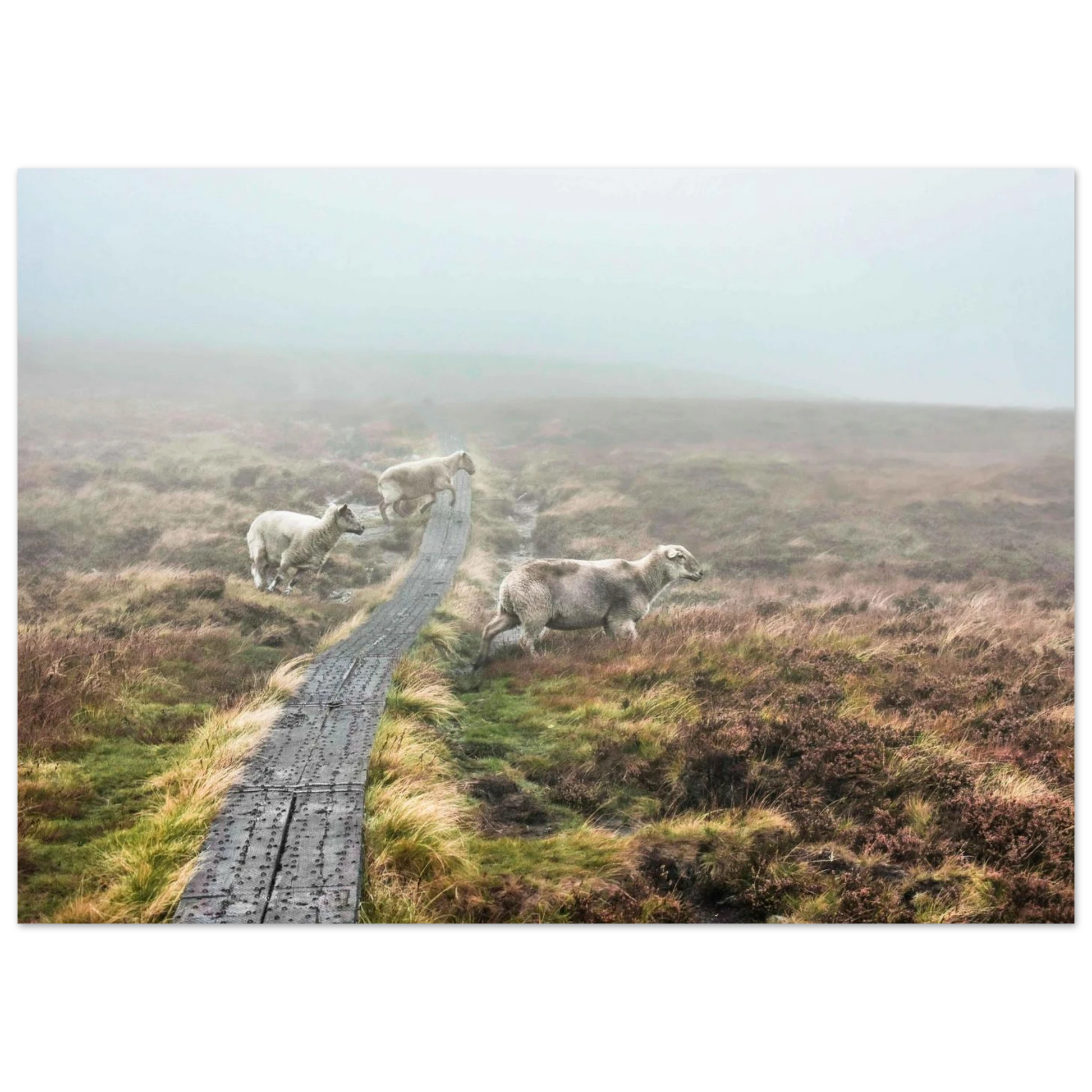 430578dd-f22b-49ff-88b8-a6416de0de3a