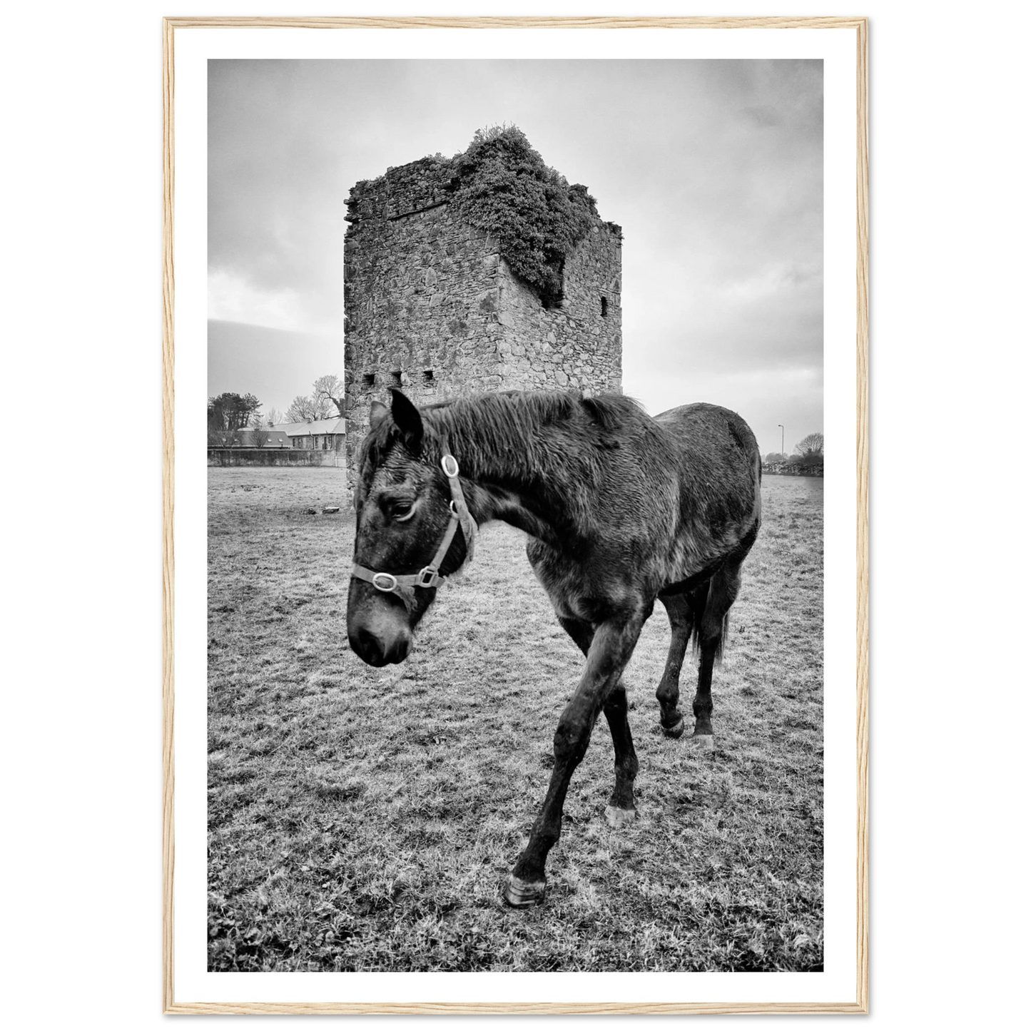 430dbcf5-c984-4264-9ae8-b74573d842e5