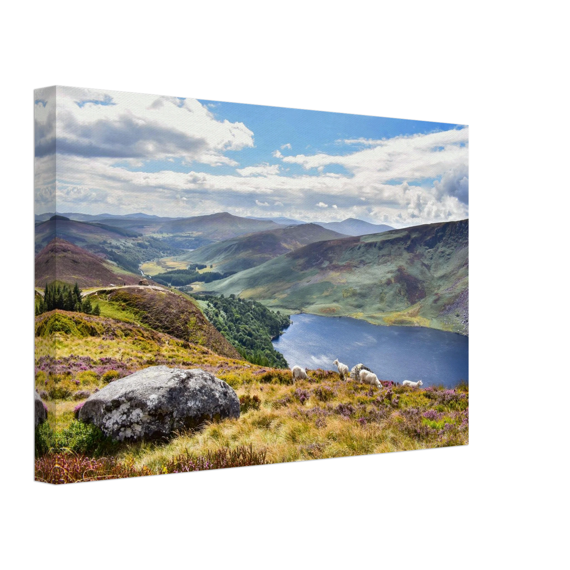 43161ad3-3552-4a24-8d49-ce00580fcb64